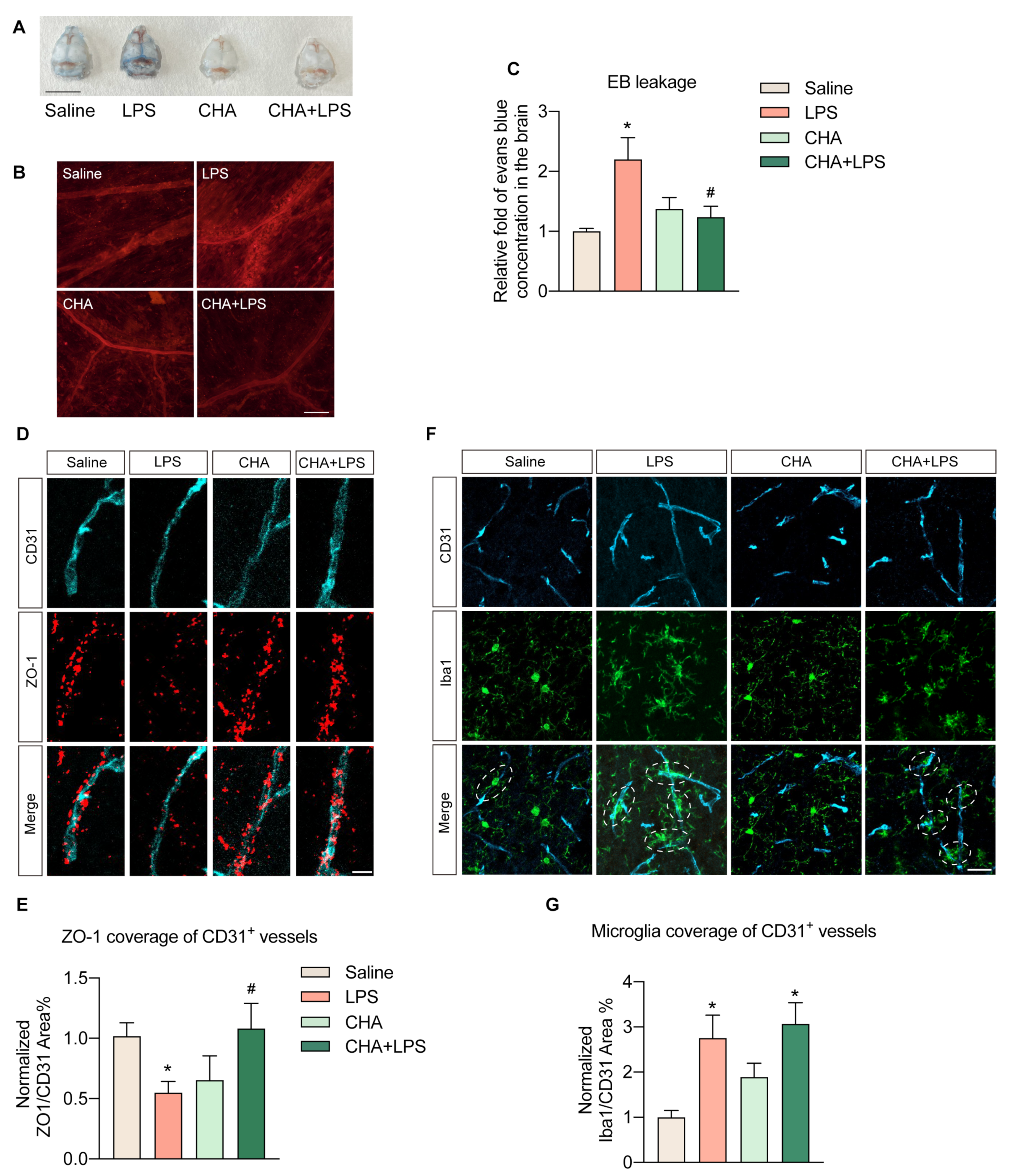 Ijms 24 11036 g003 Ijms 24 11036 g003