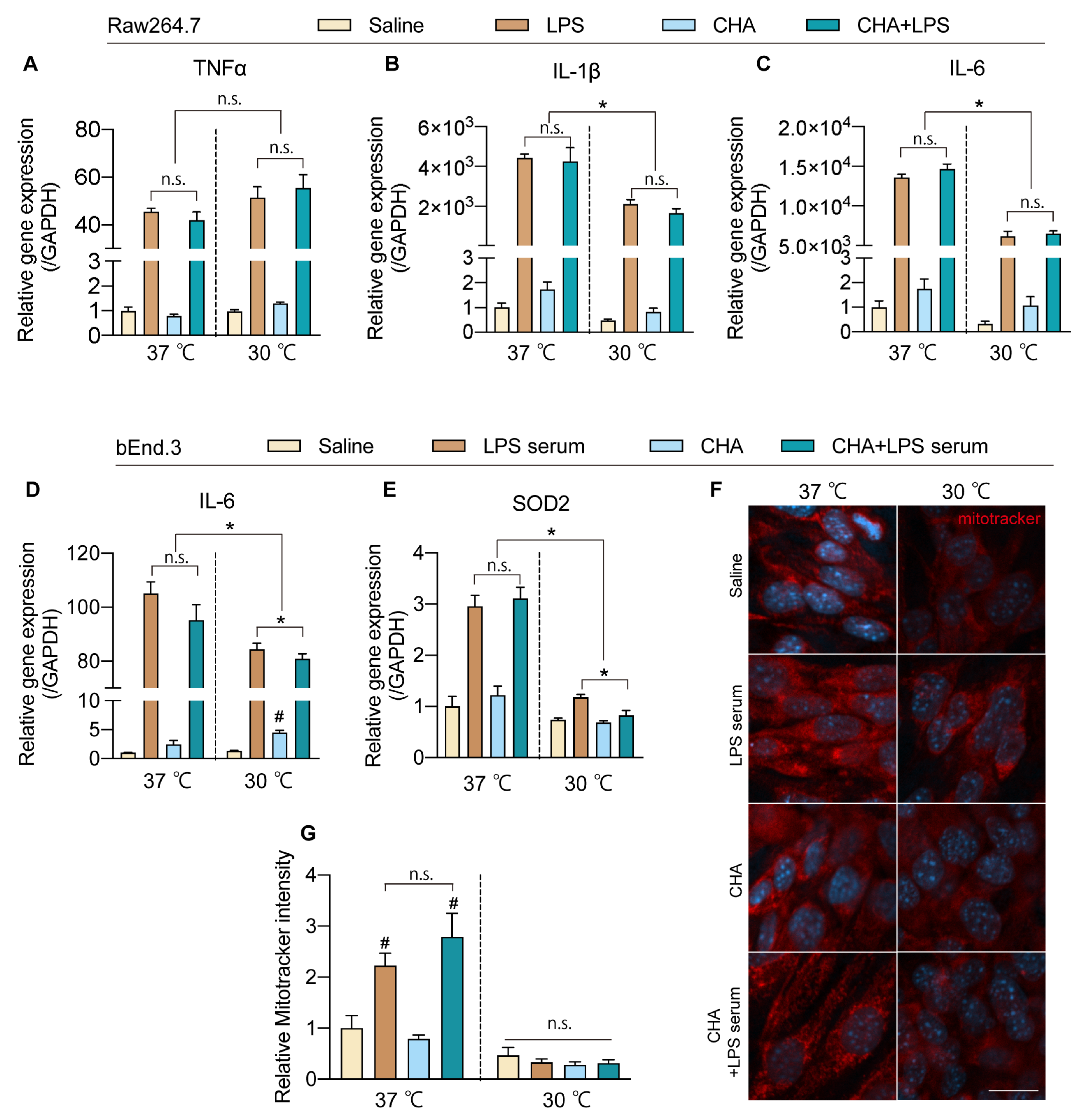 Ijms 24 11036 g005 Ijms 24 11036 g005