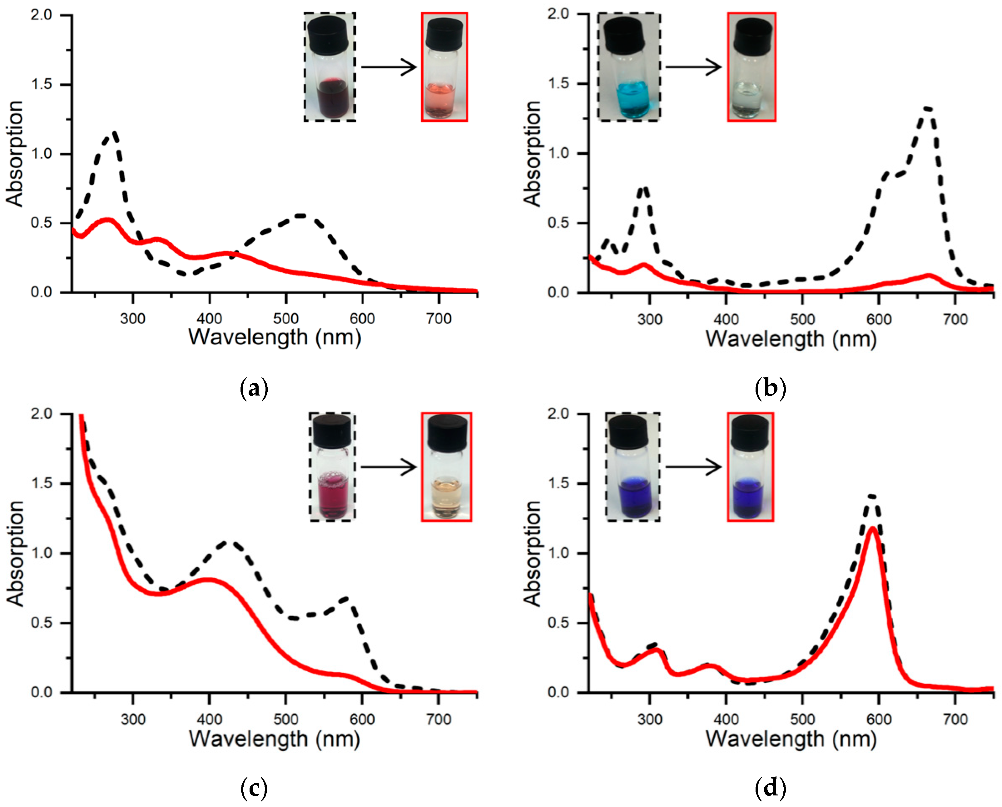 Ijms 24 11070 g003 Ijms 24 11070 g003