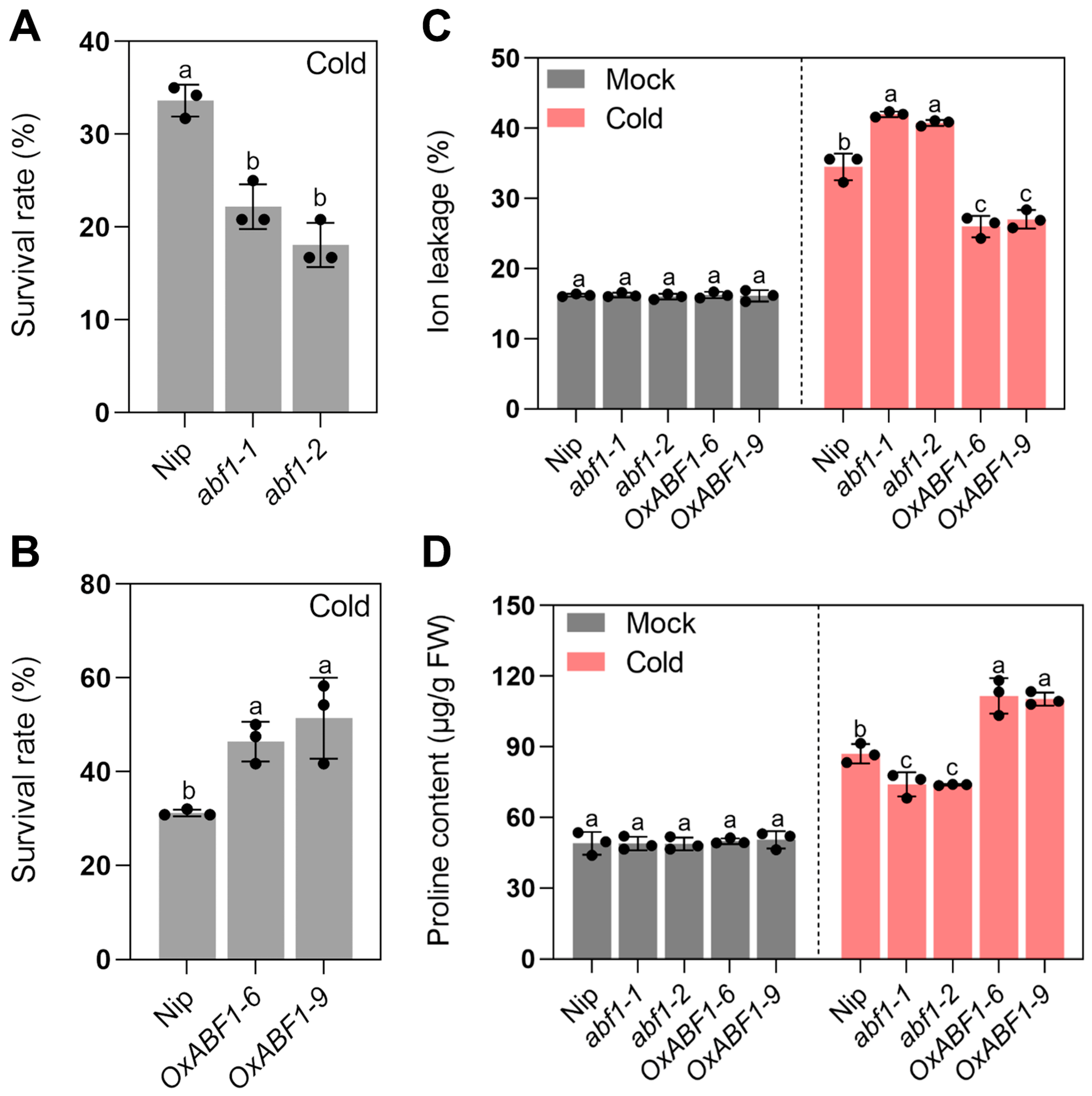 Ijms 24 11082 g002 Ijms 24 11082 g002