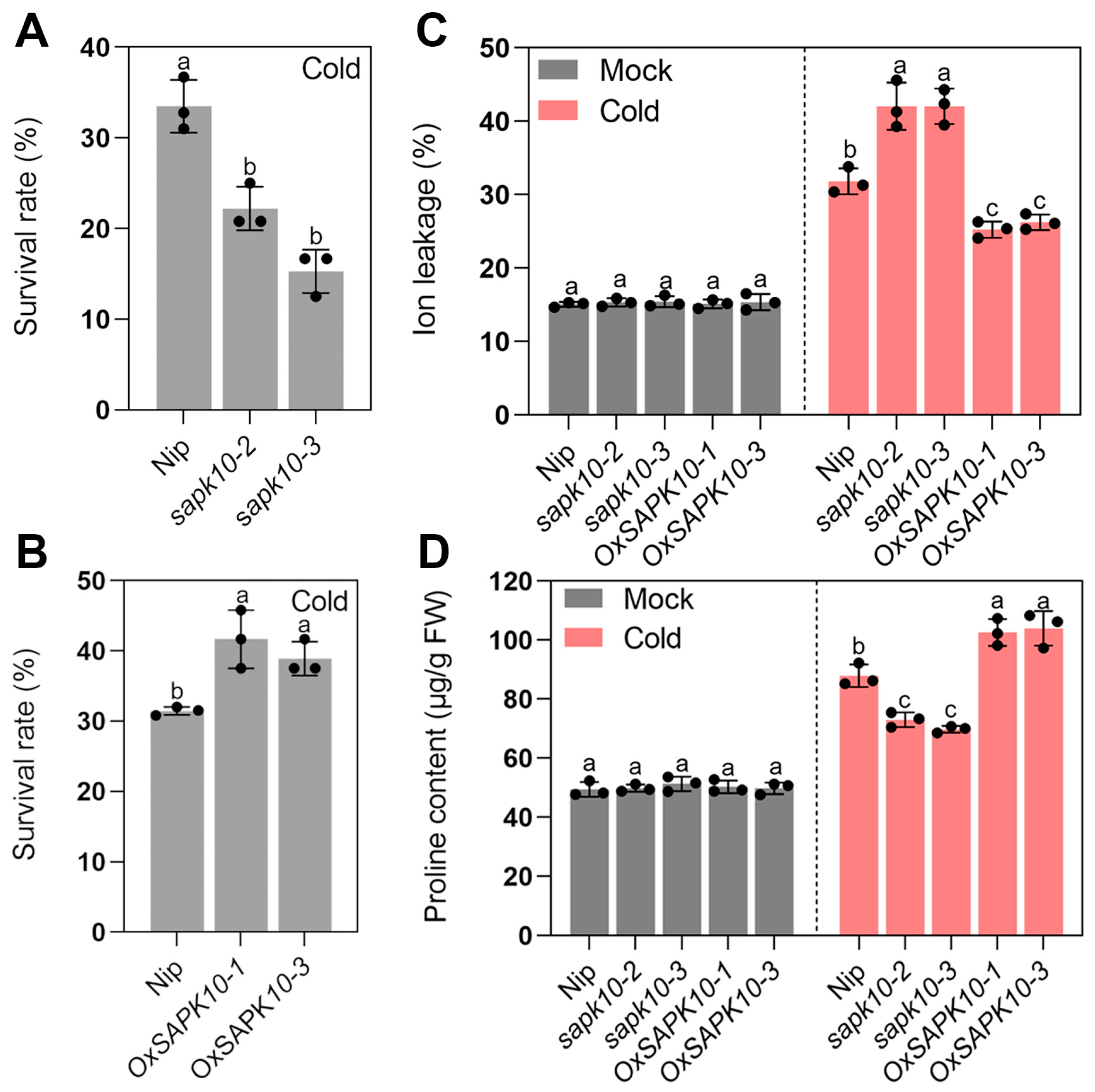Ijms 24 11082 g006 Ijms 24 11082 g006