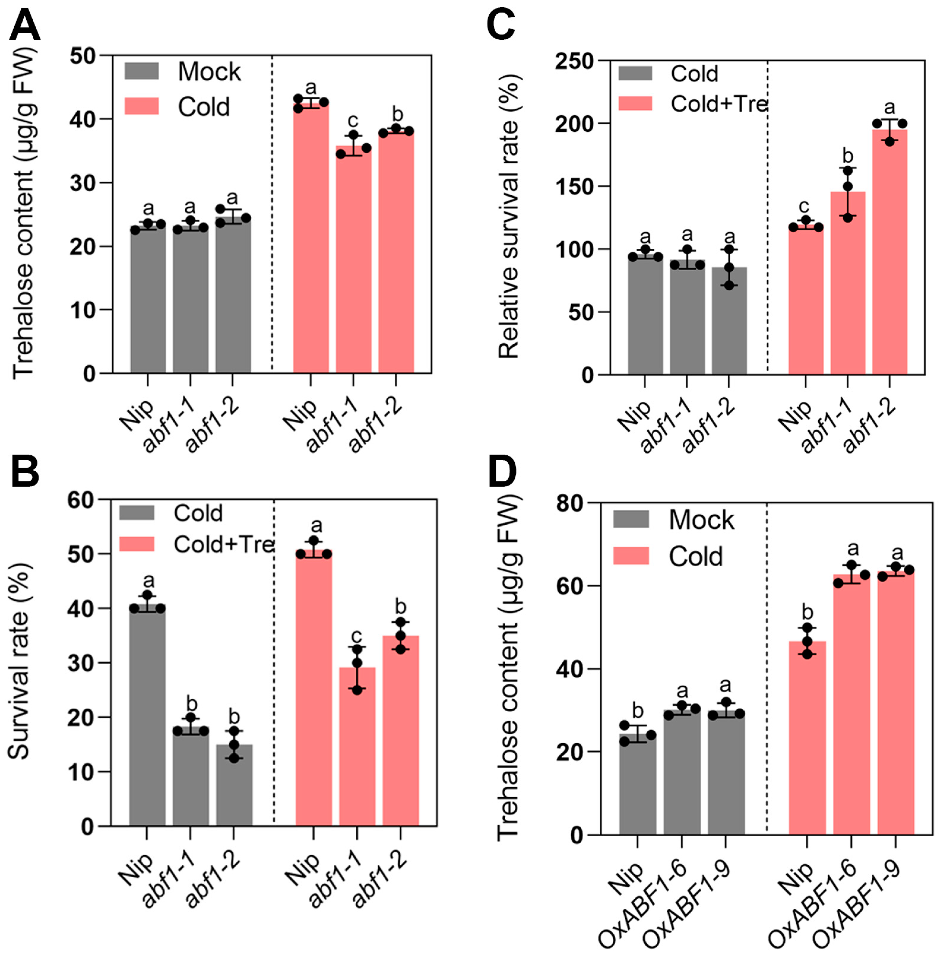 Ijms 24 11082 g007 Ijms 24 11082 g007