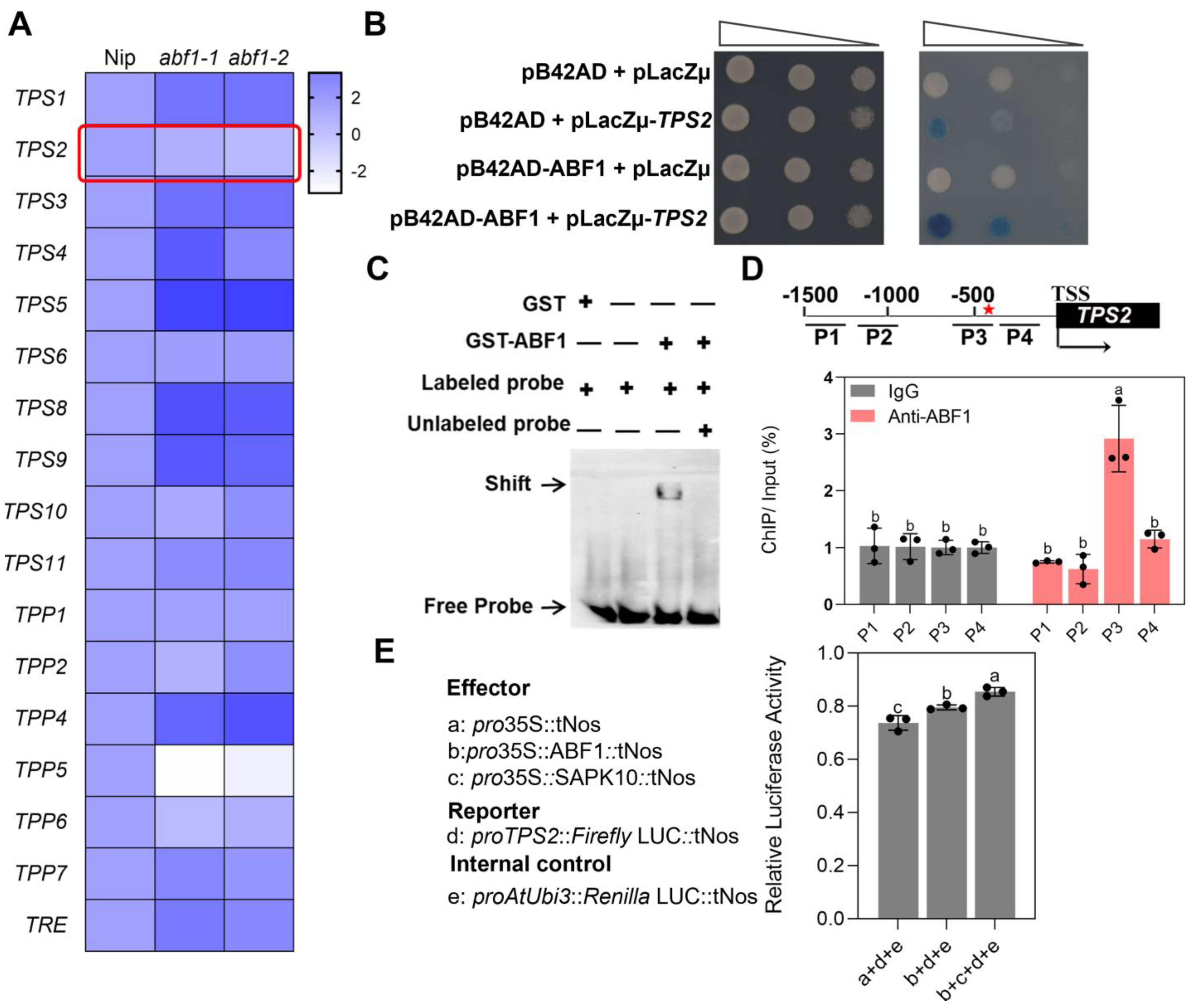Ijms 24 11082 g009 Ijms 24 11082 g009