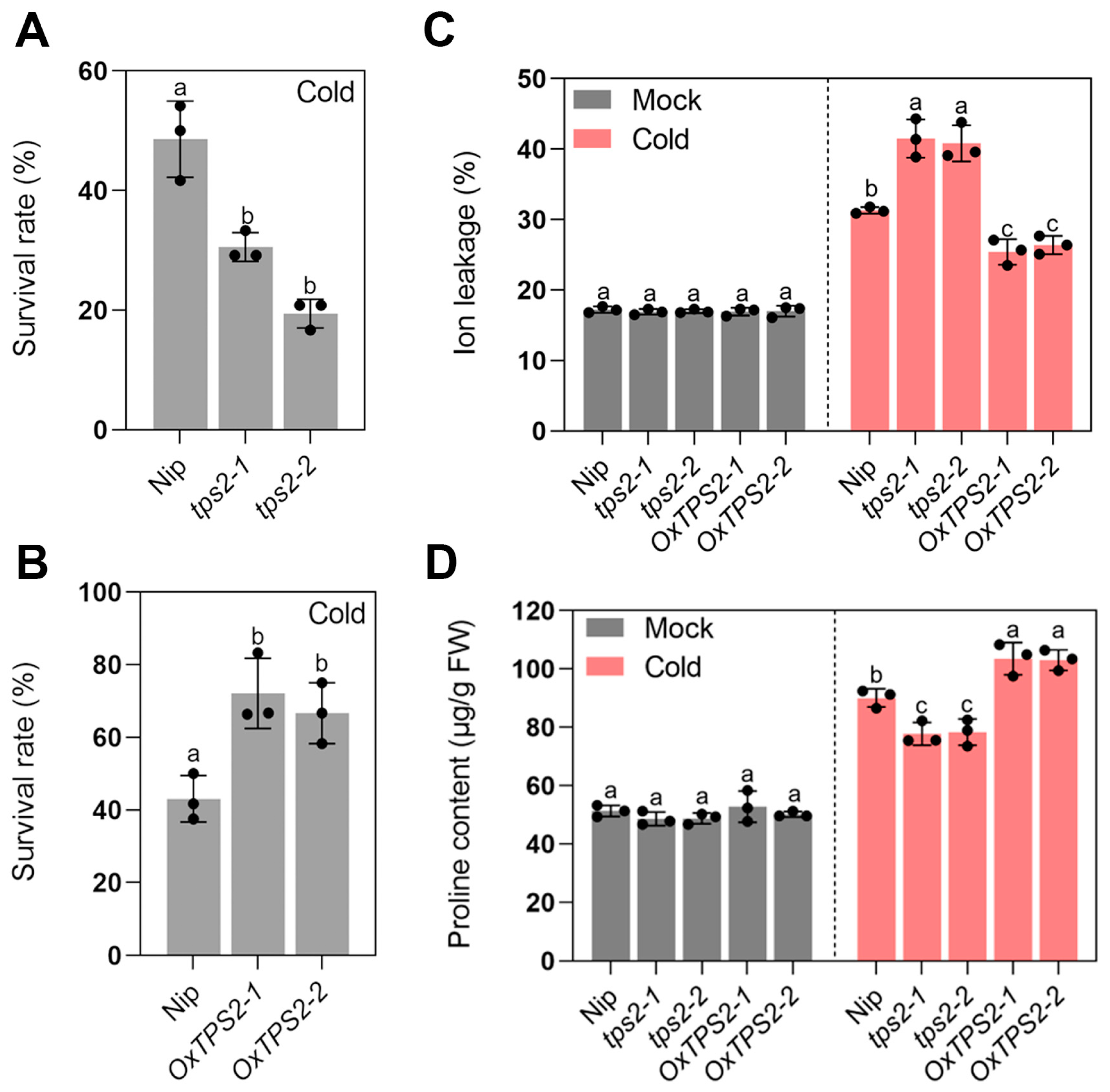 Ijms 24 11082 g011 Ijms 24 11082 g011