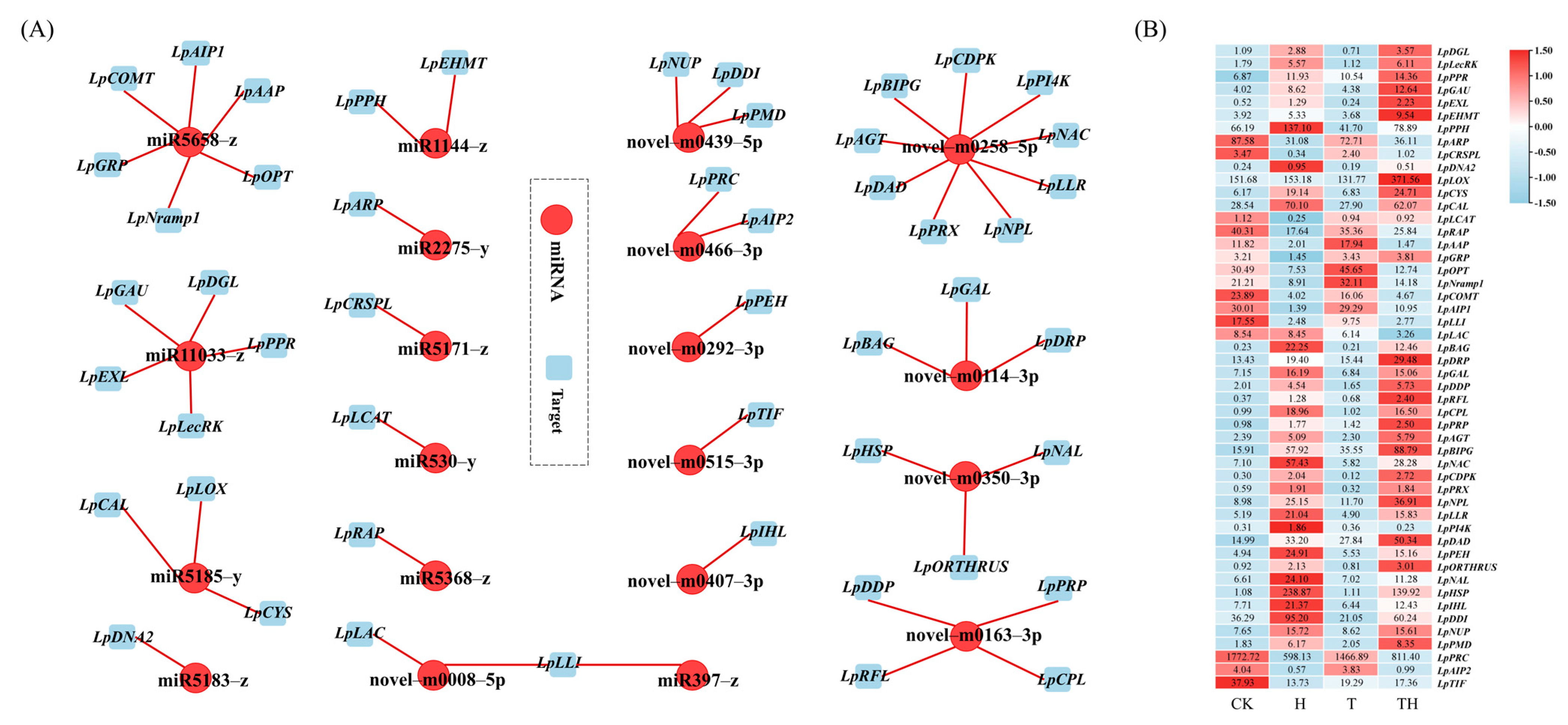 Ijms 24 11085 g002 Ijms 24 11085 g002