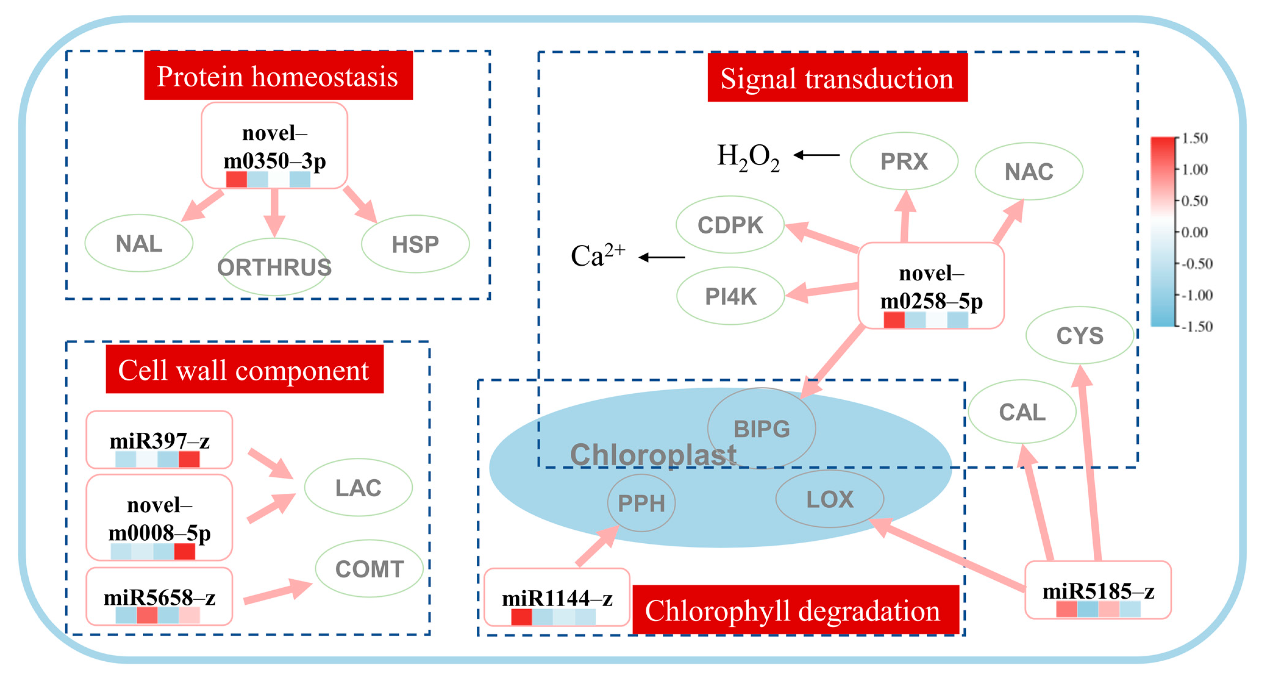 Ijms 24 11085 g003 Ijms 24 11085 g003