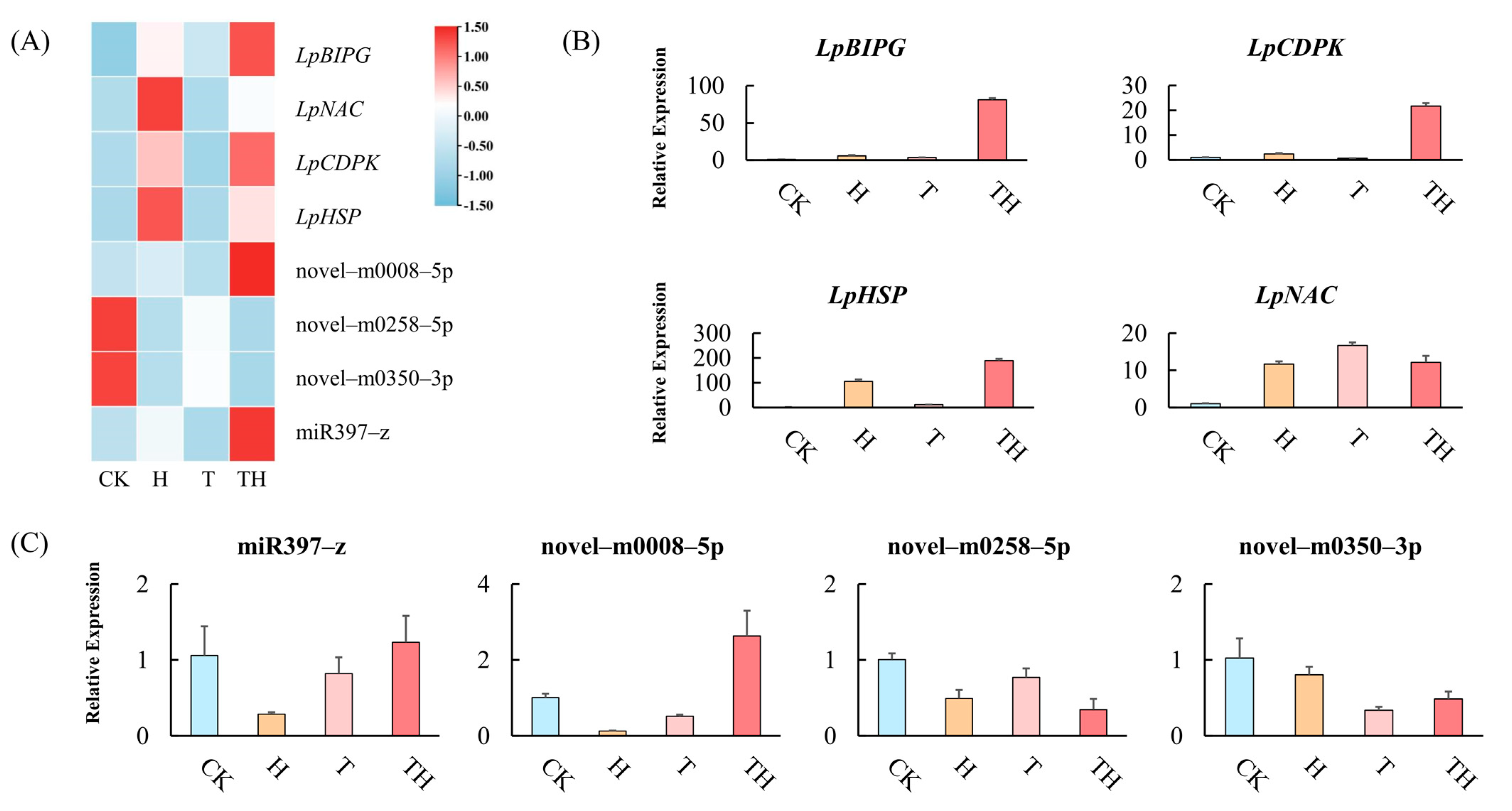 Ijms 24 11085 g004 Ijms 24 11085 g004