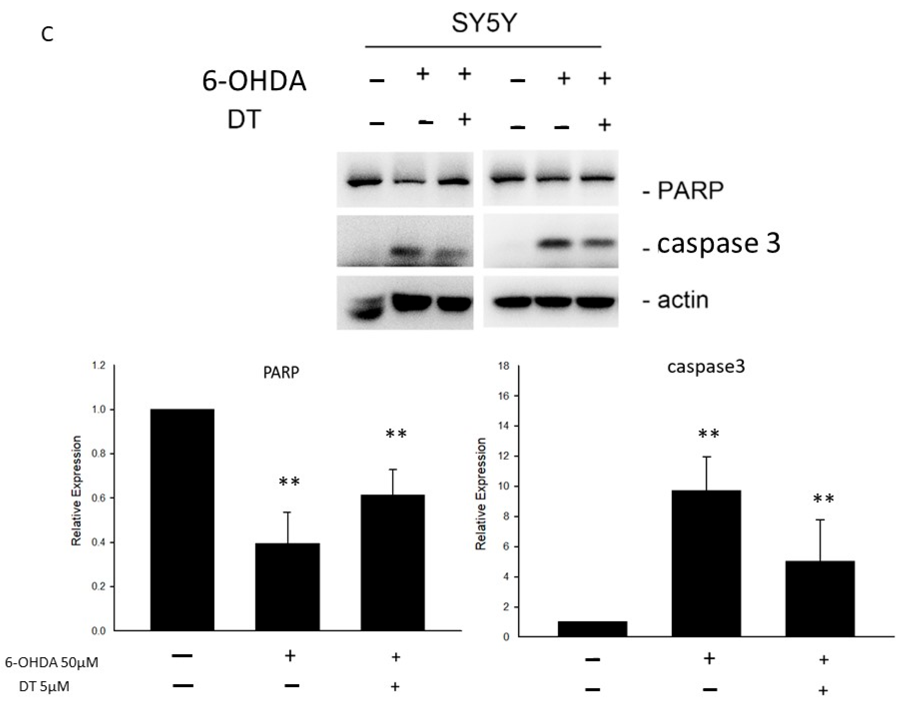 Ijms 24 11088 g002b Ijms 24 11088 g002b