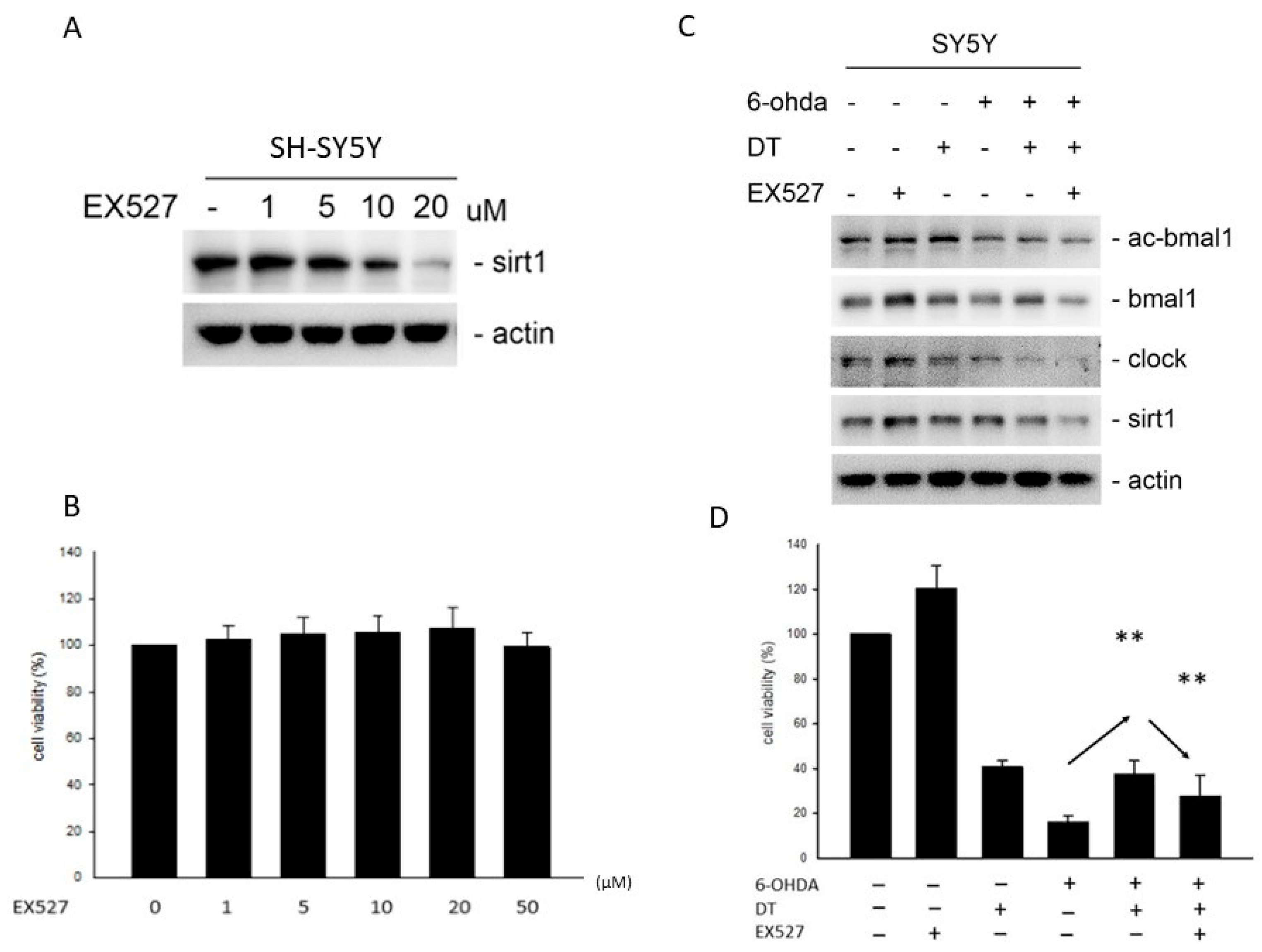 Ijms 24 11088 g004 Ijms 24 11088 g004