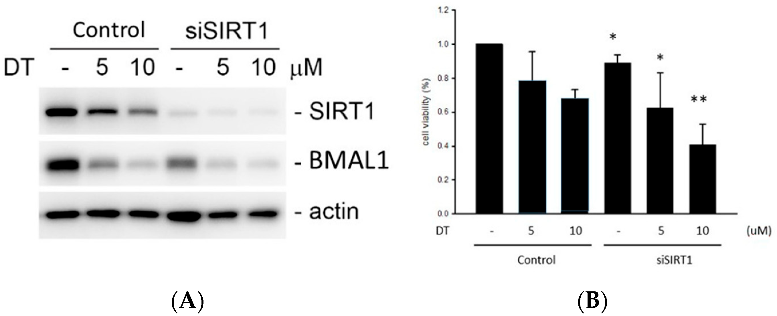 Ijms 24 11088 g006 Ijms 24 11088 g006