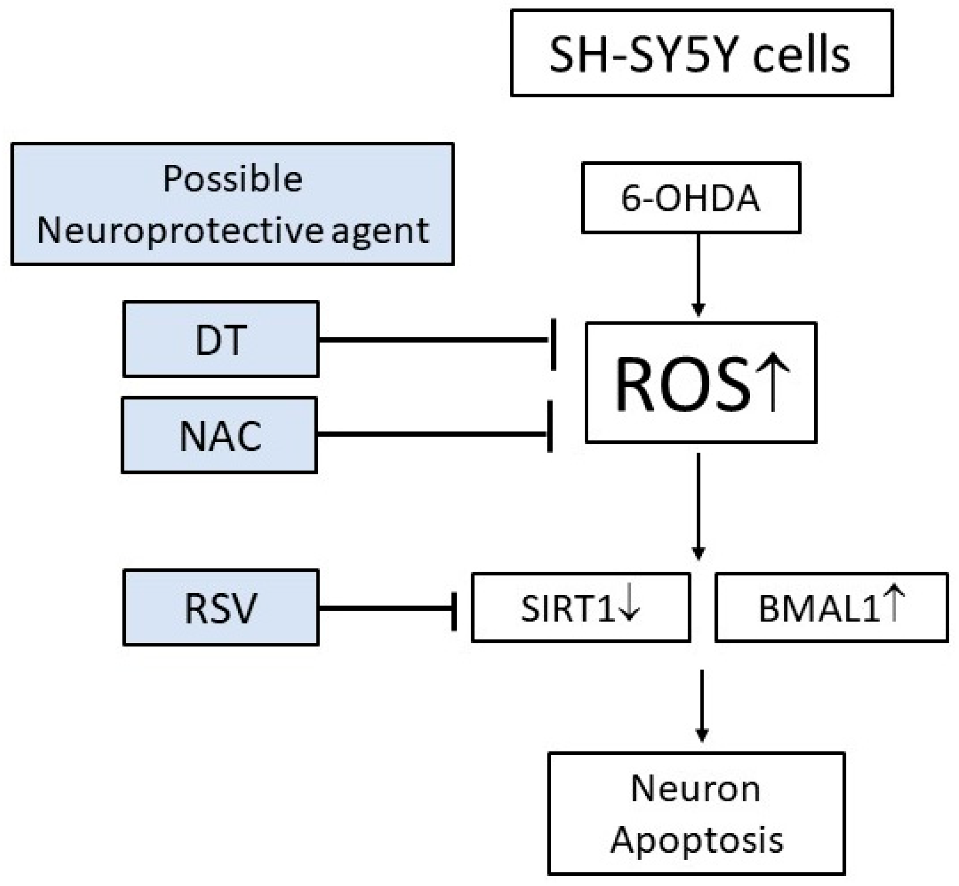 Ijms 24 11088 g007 Ijms 24 11088 g007