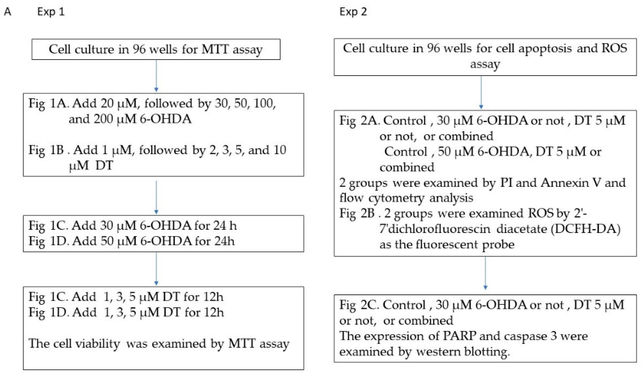 Ijms 24 11088 g008a Ijms 24 11088 g008a