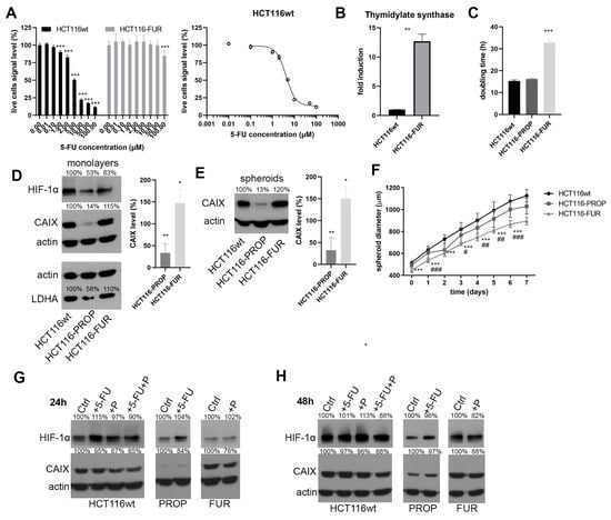 IJMS | Free Full-Text | Propranolol, Promising Chemosensitizer and ...