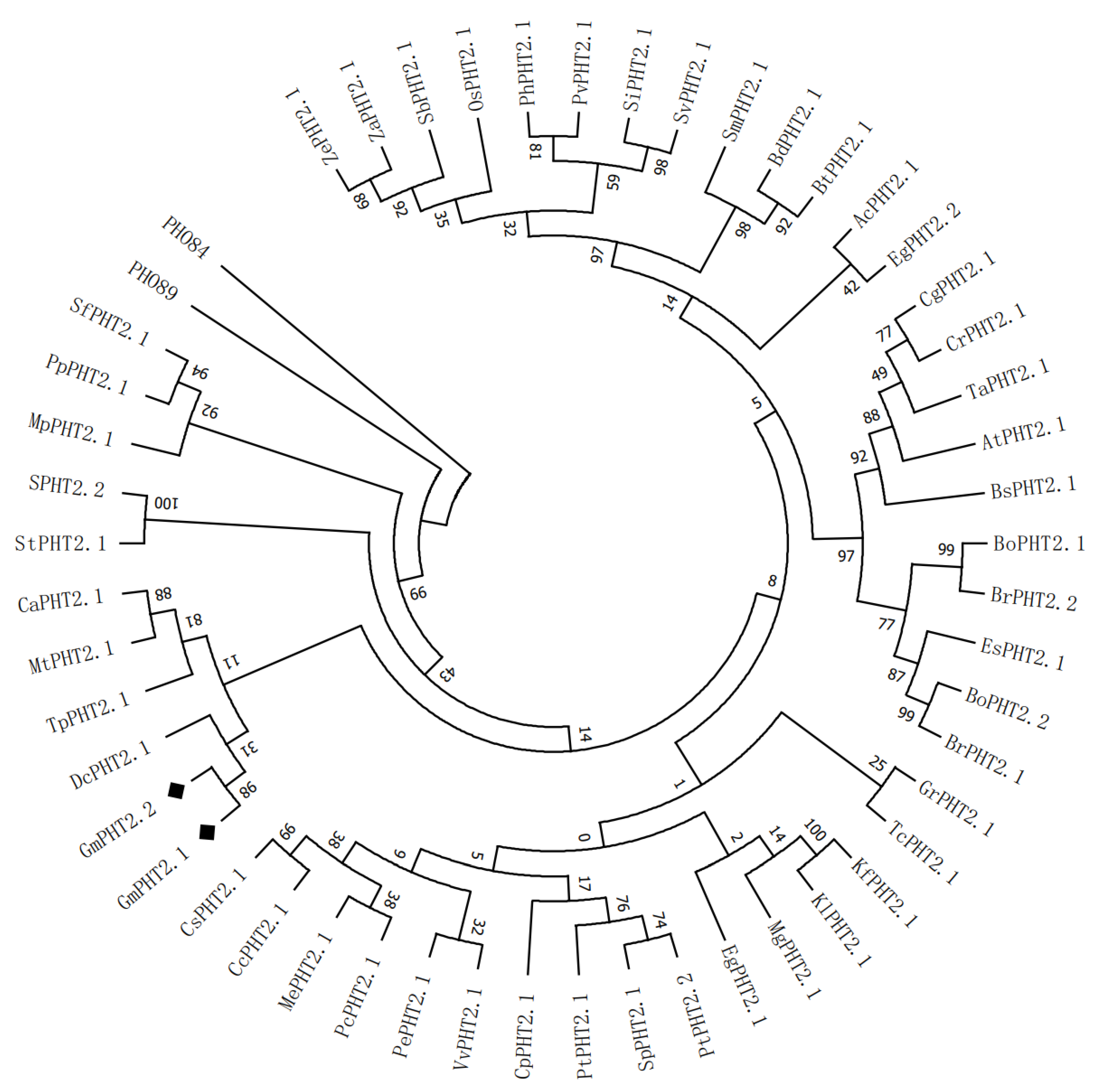 Ijms 24 11115 g001 Ijms 24 11115 g001