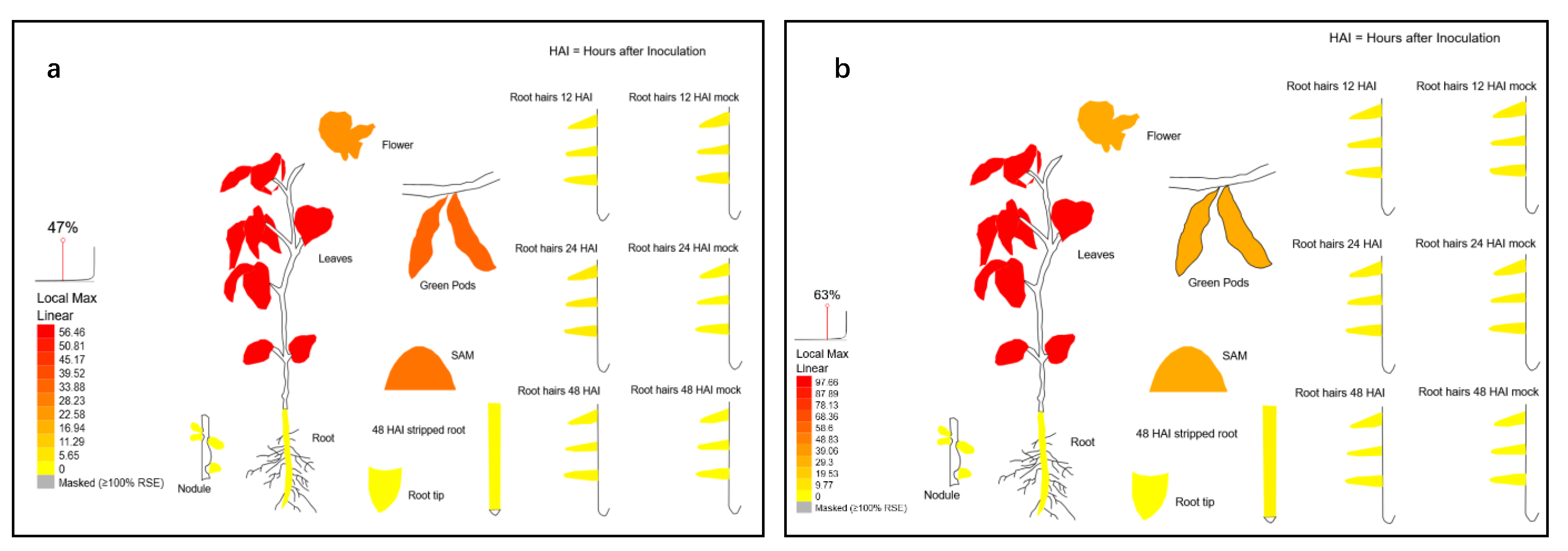 Ijms 24 11115 g002 Ijms 24 11115 g002