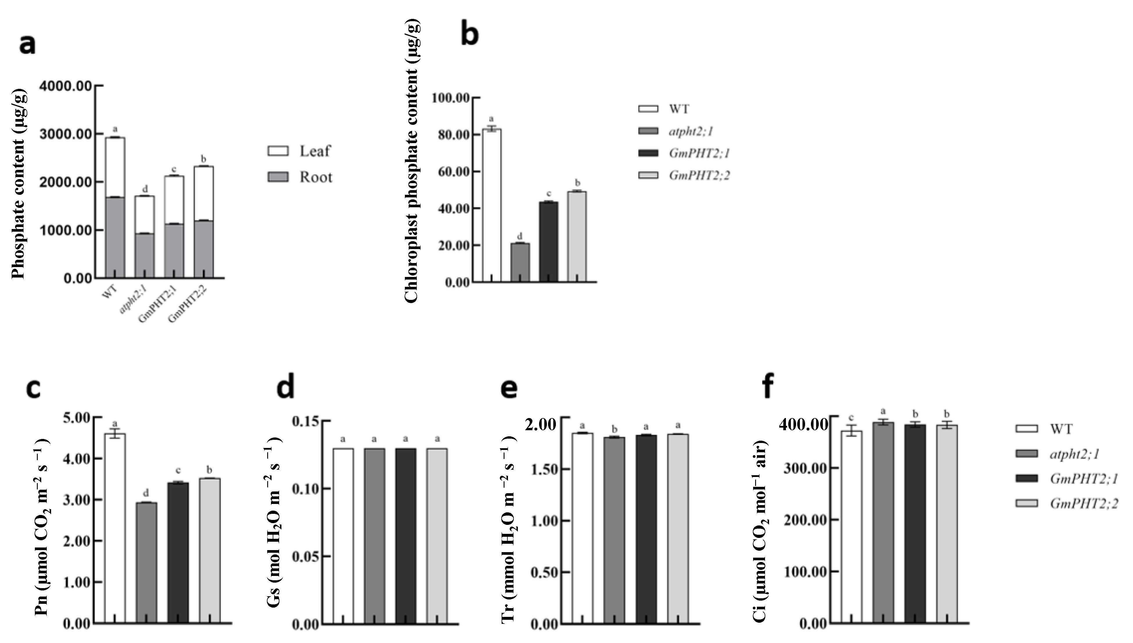 Ijms 24 11115 g007 Ijms 24 11115 g007
