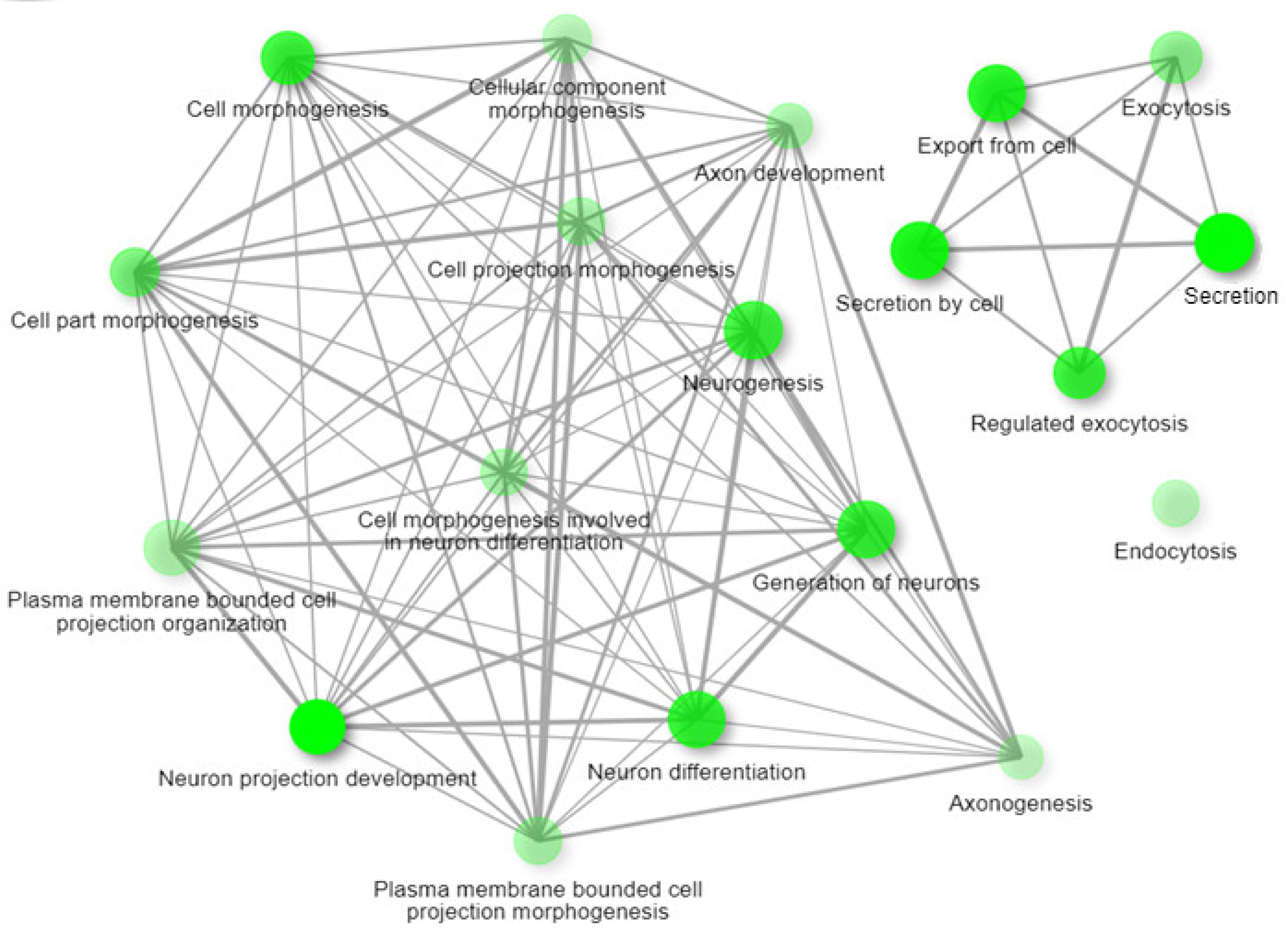 Ijms 24 11130 g006 Ijms 24 11130 g006