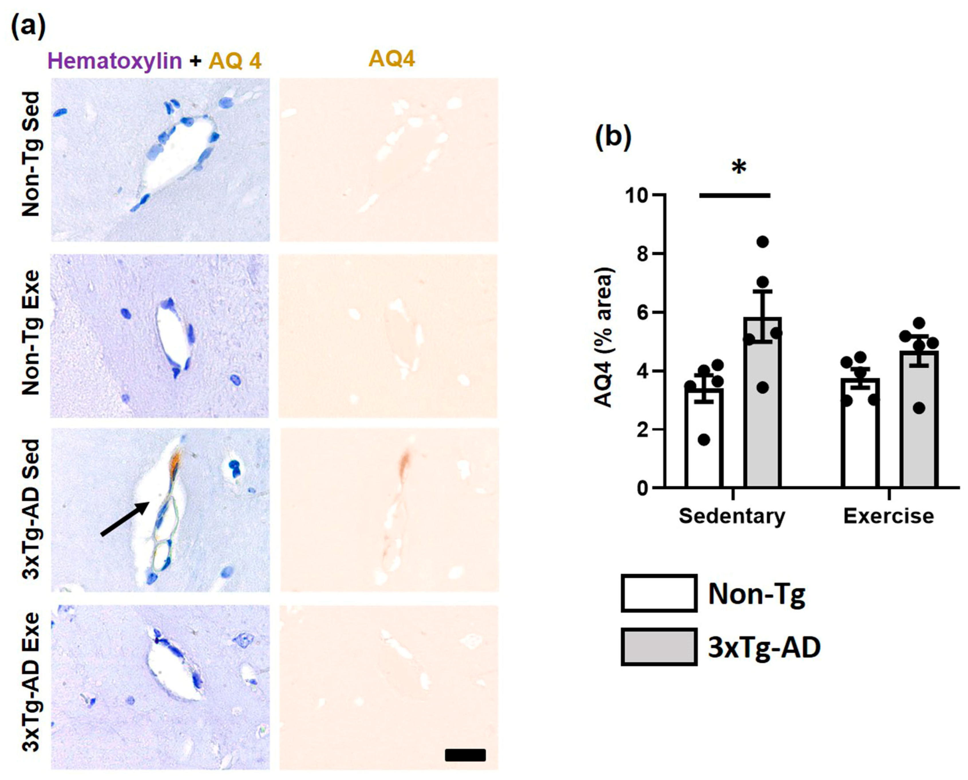 Ijms 24 11134 g005 Ijms 24 11134 g005