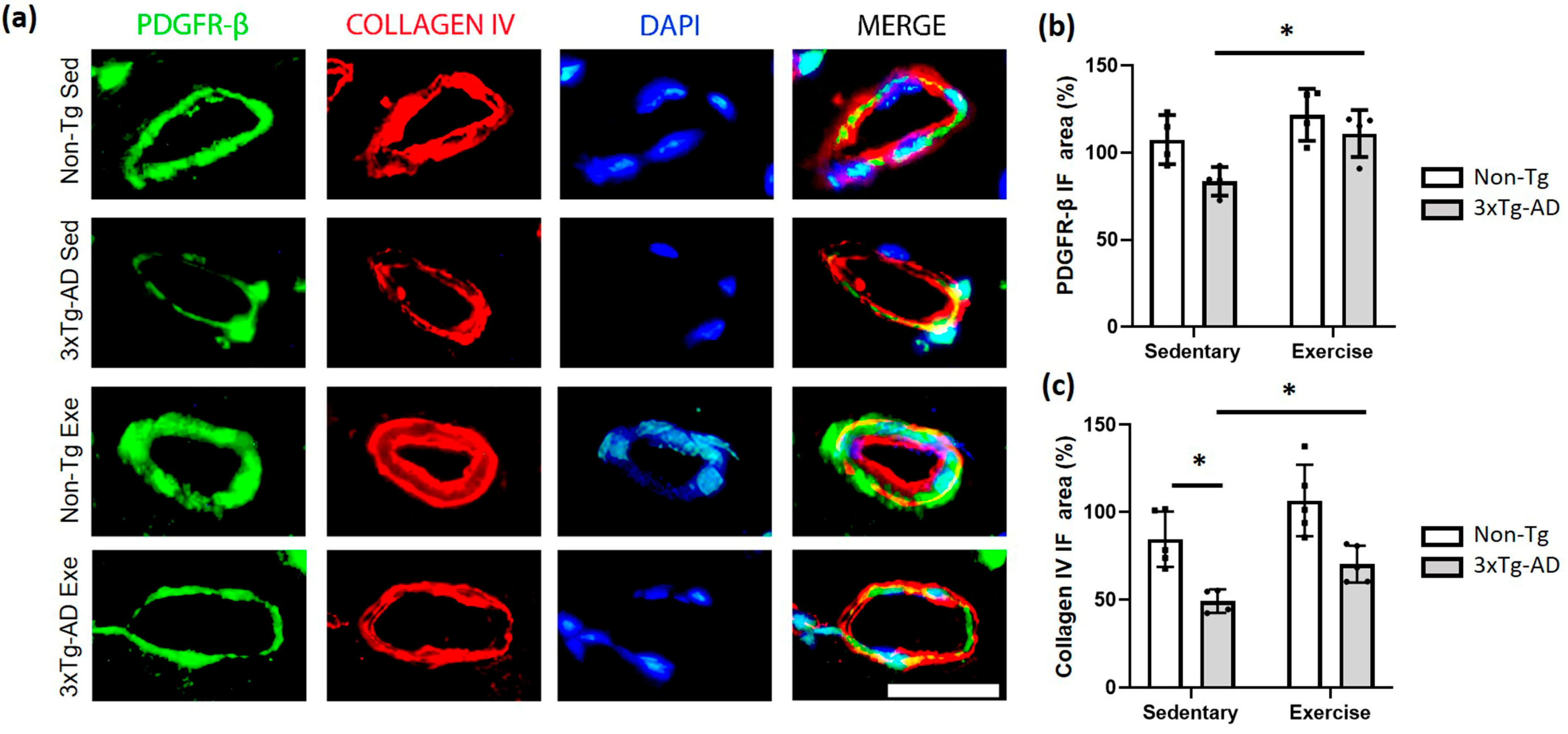 Ijms 24 11134 g006 Ijms 24 11134 g006