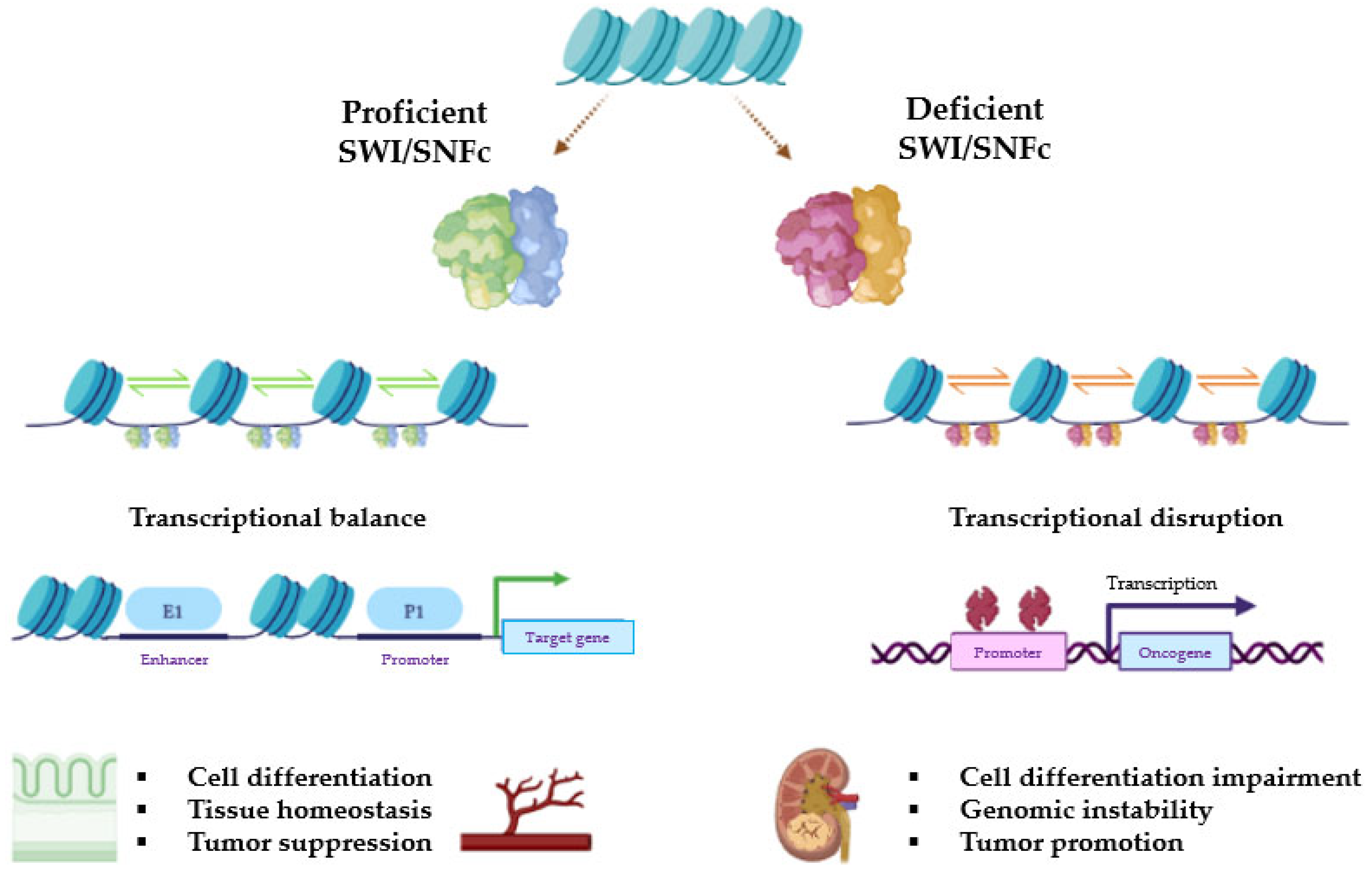 Ijms 24 11143 g002 Ijms 24 11143 g002