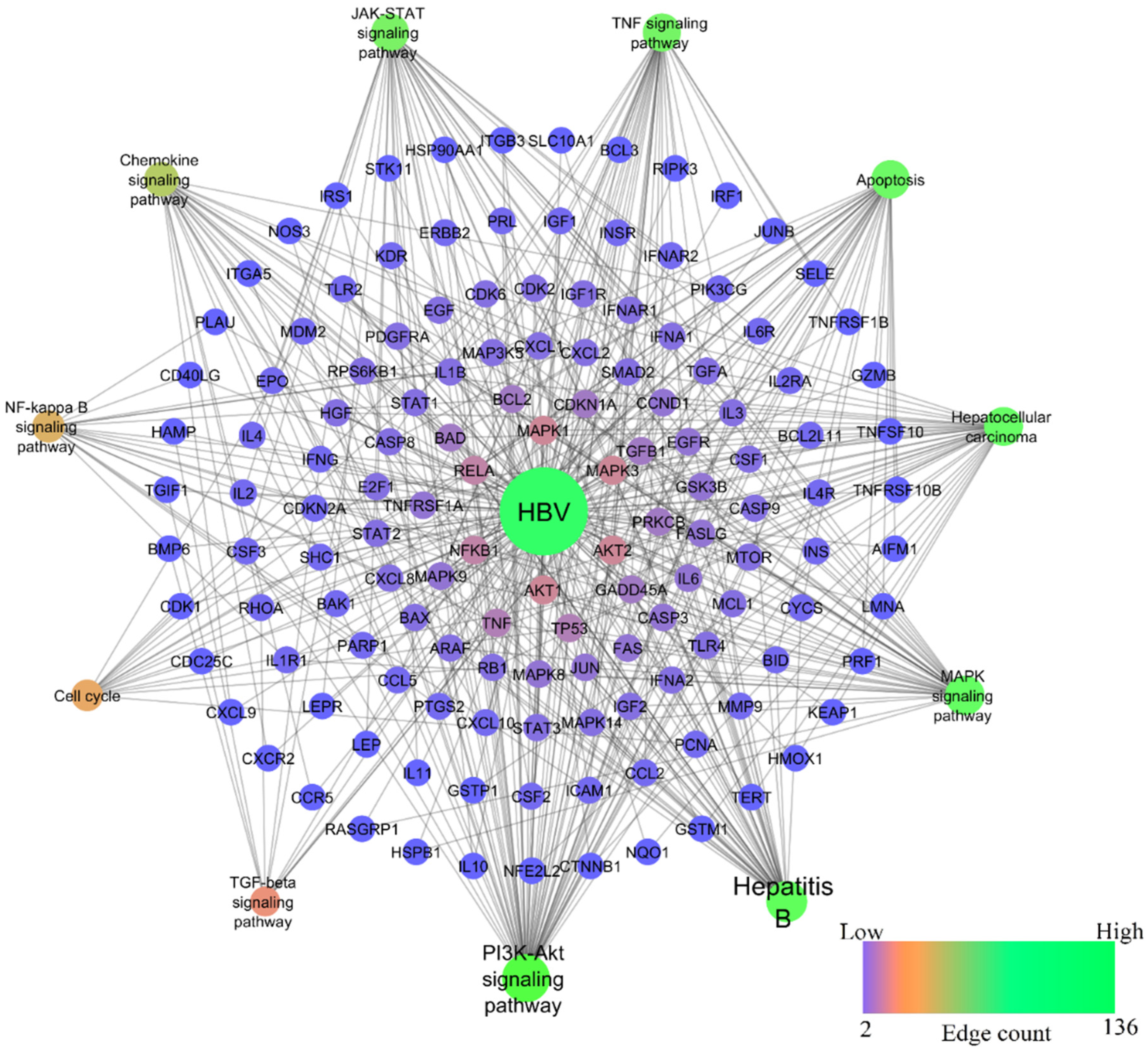 Ijms 24 11146 g004 Ijms 24 11146 g004