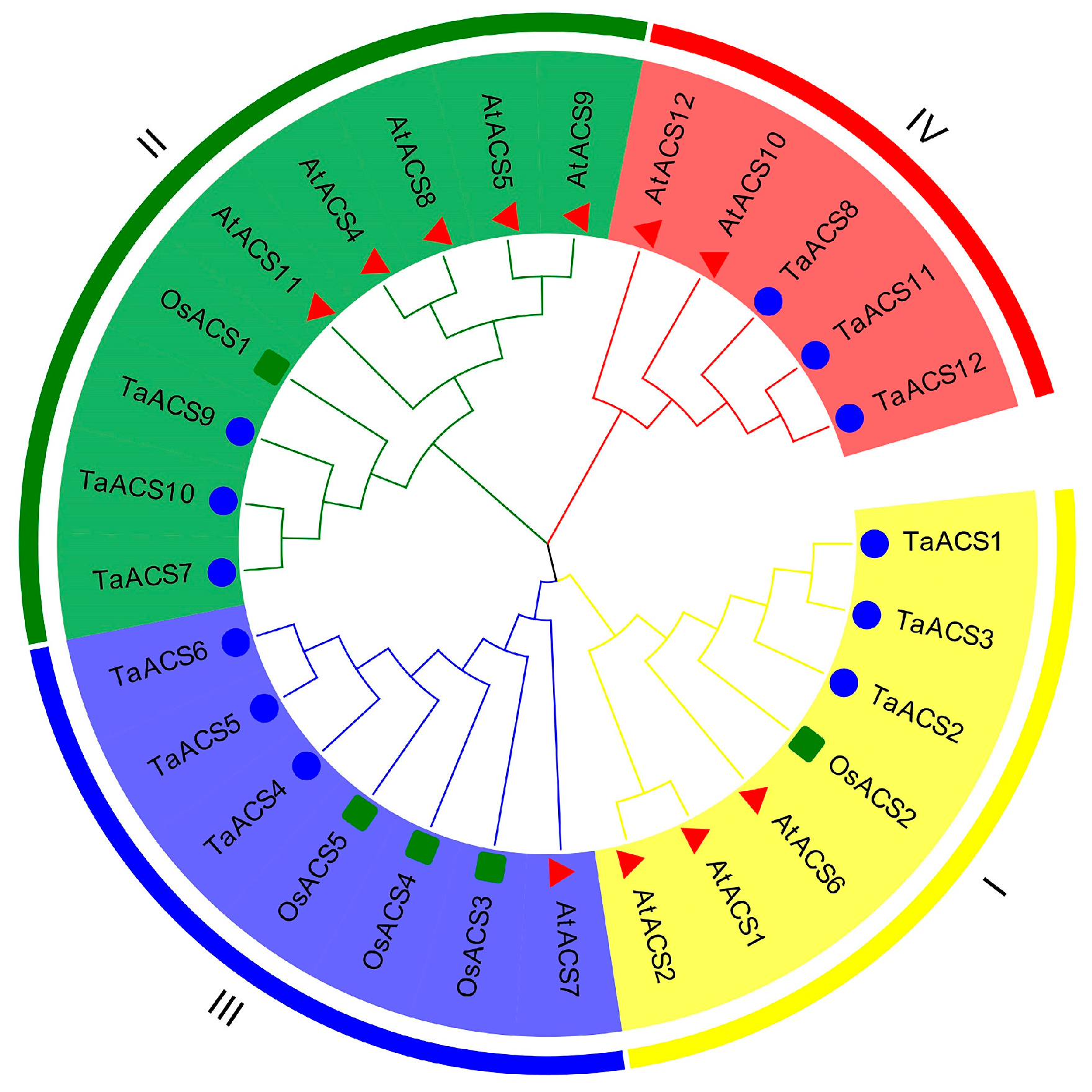 Ijms 24 11158 g001 Ijms 24 11158 g001