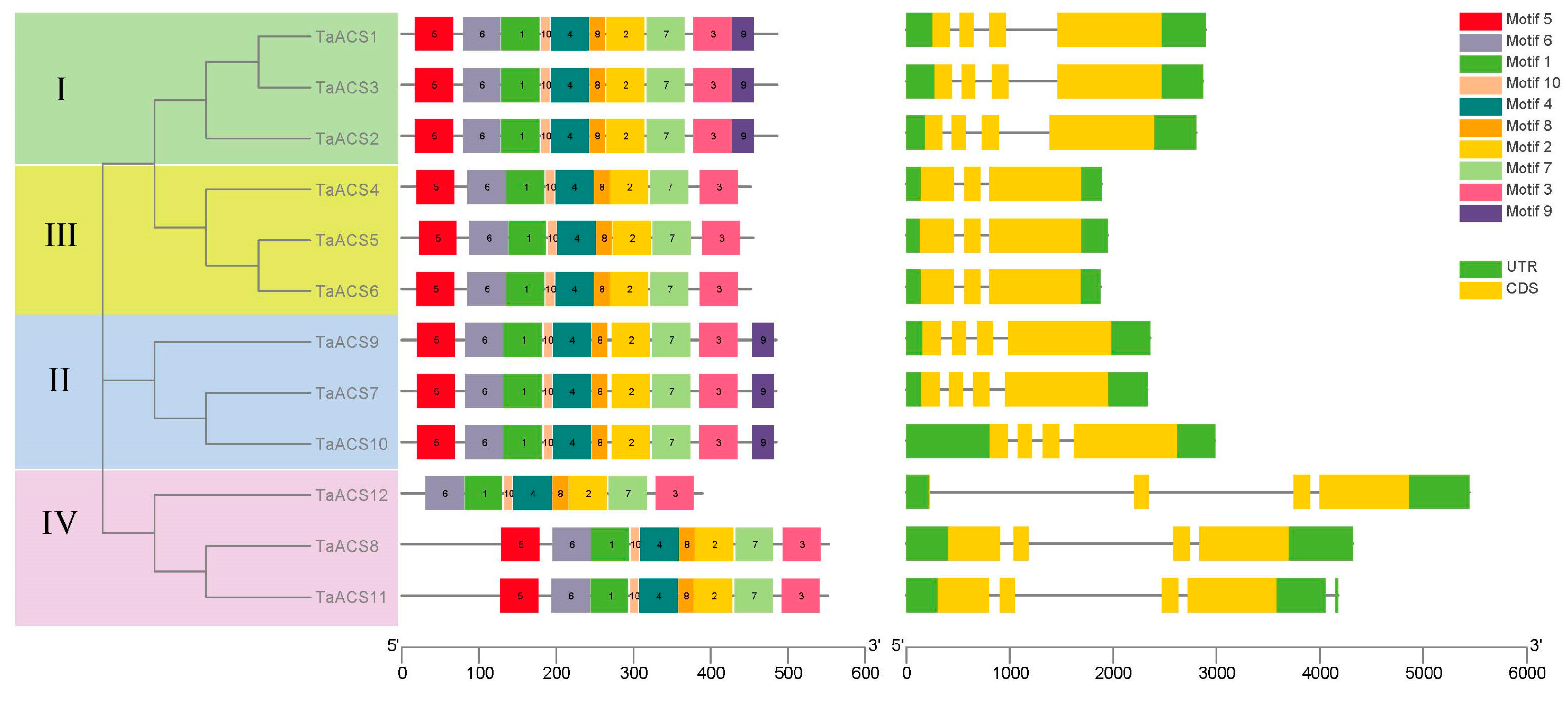 Ijms 24 11158 g002 Ijms 24 11158 g002