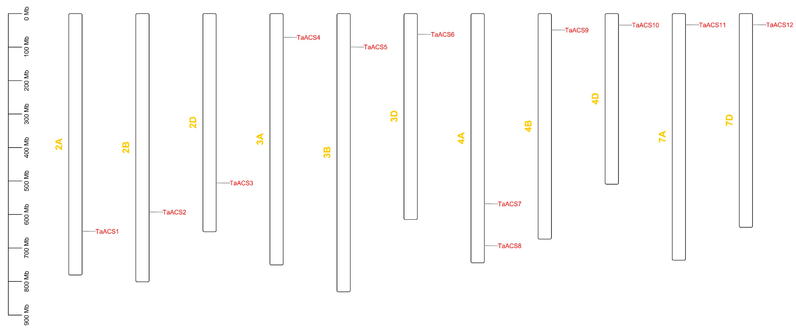 Ijms 24 11158 g003 Ijms 24 11158 g003