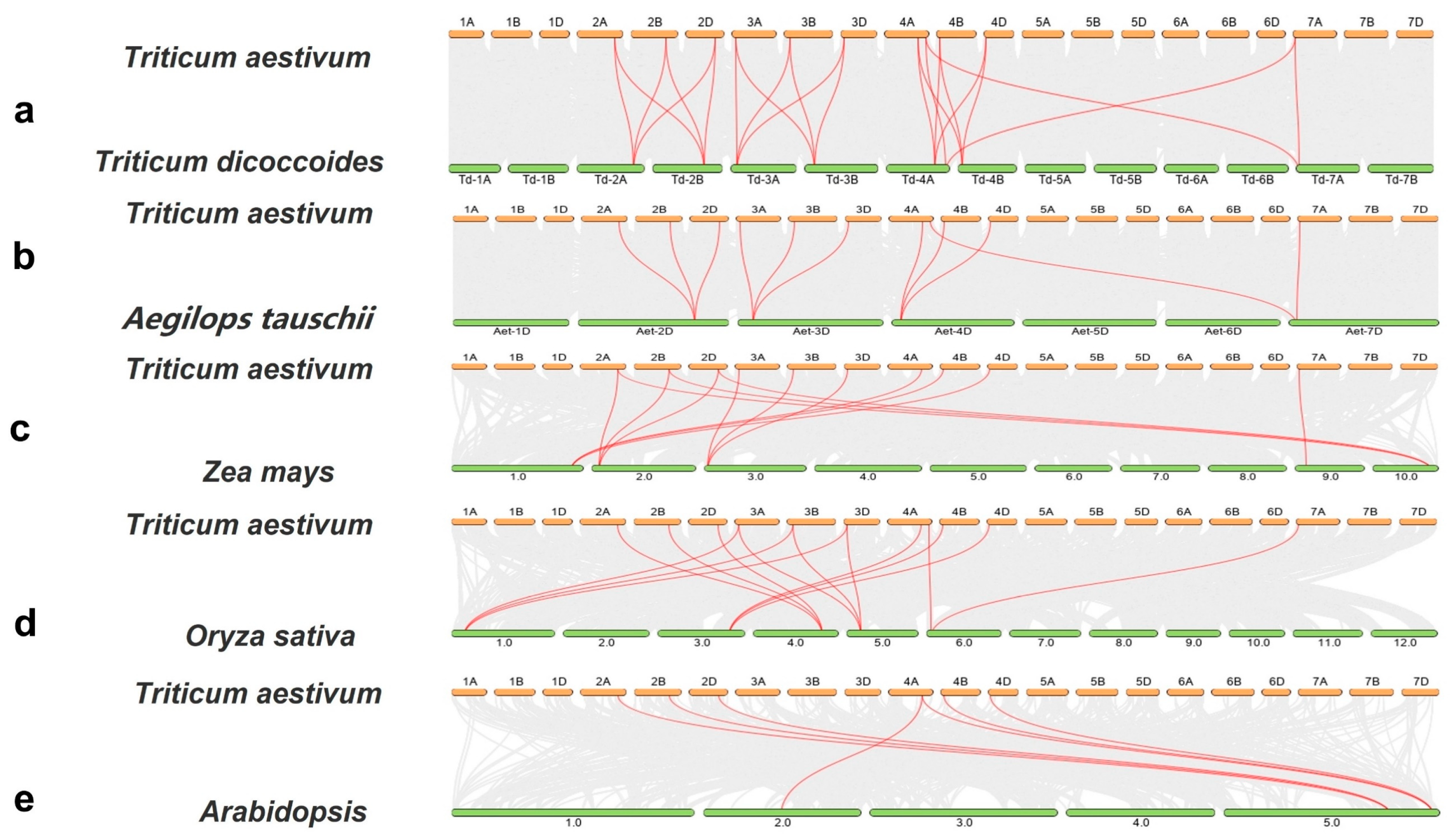 Ijms 24 11158 g005 Ijms 24 11158 g005