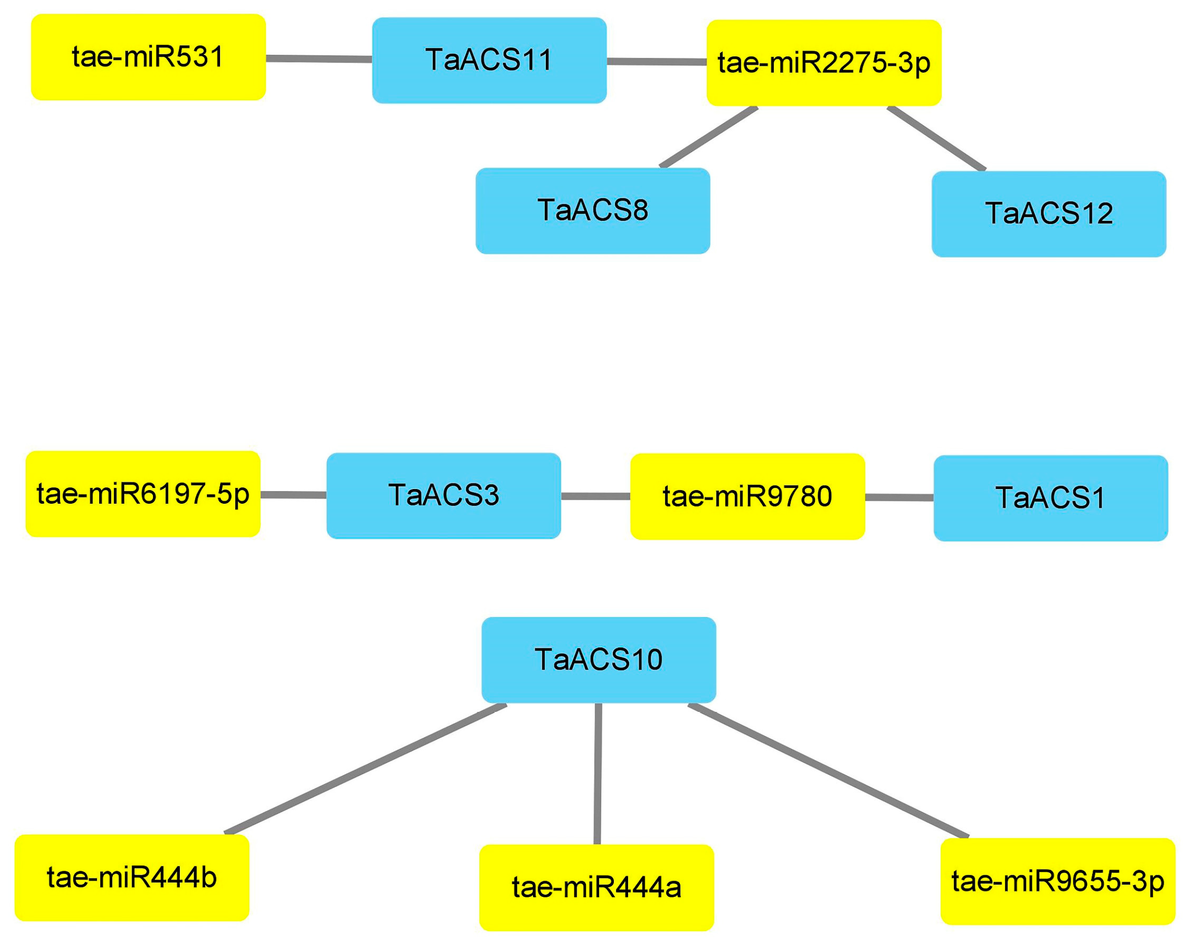 Ijms 24 11158 g007 Ijms 24 11158 g007