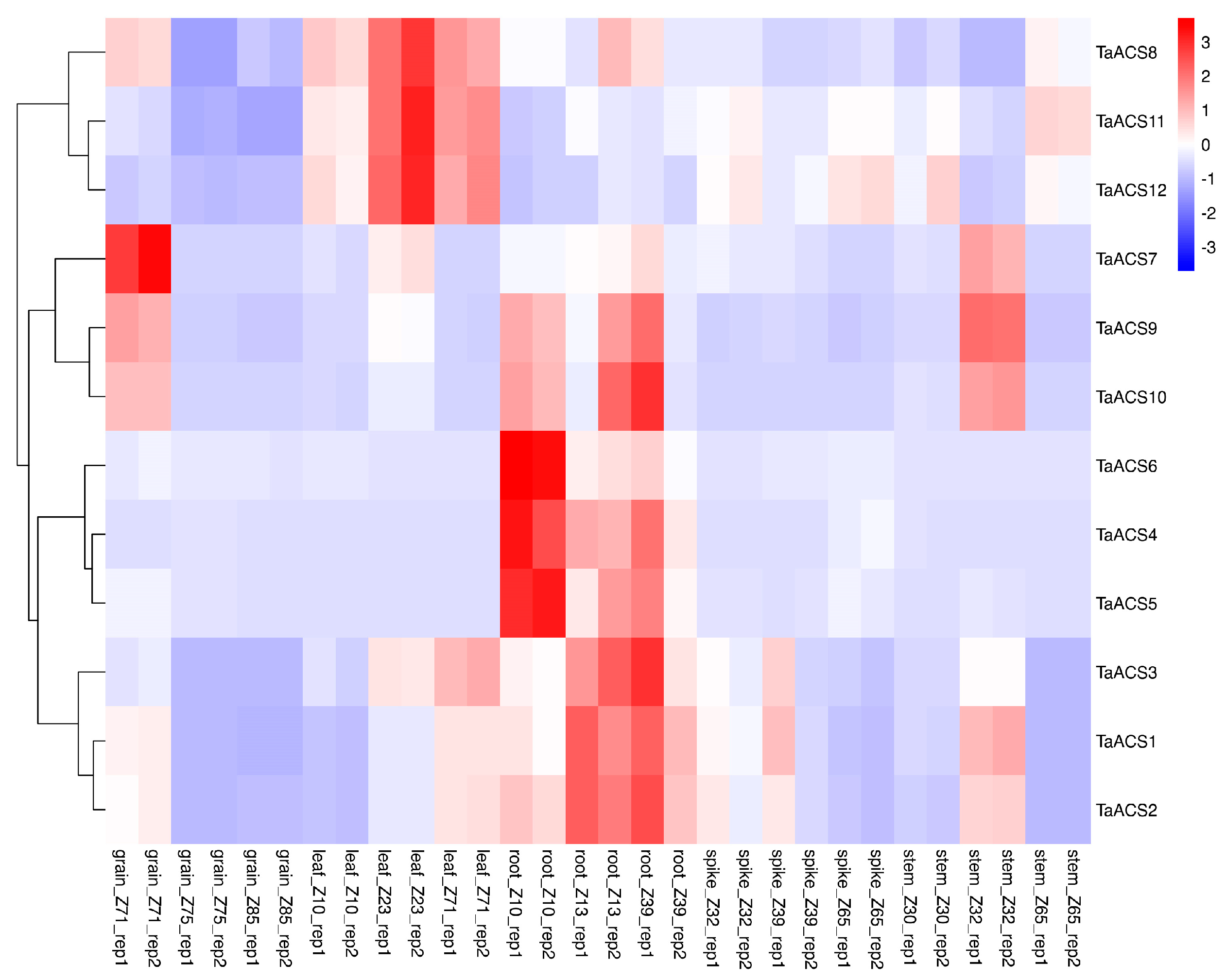Ijms 24 11158 g008 Ijms 24 11158 g008
