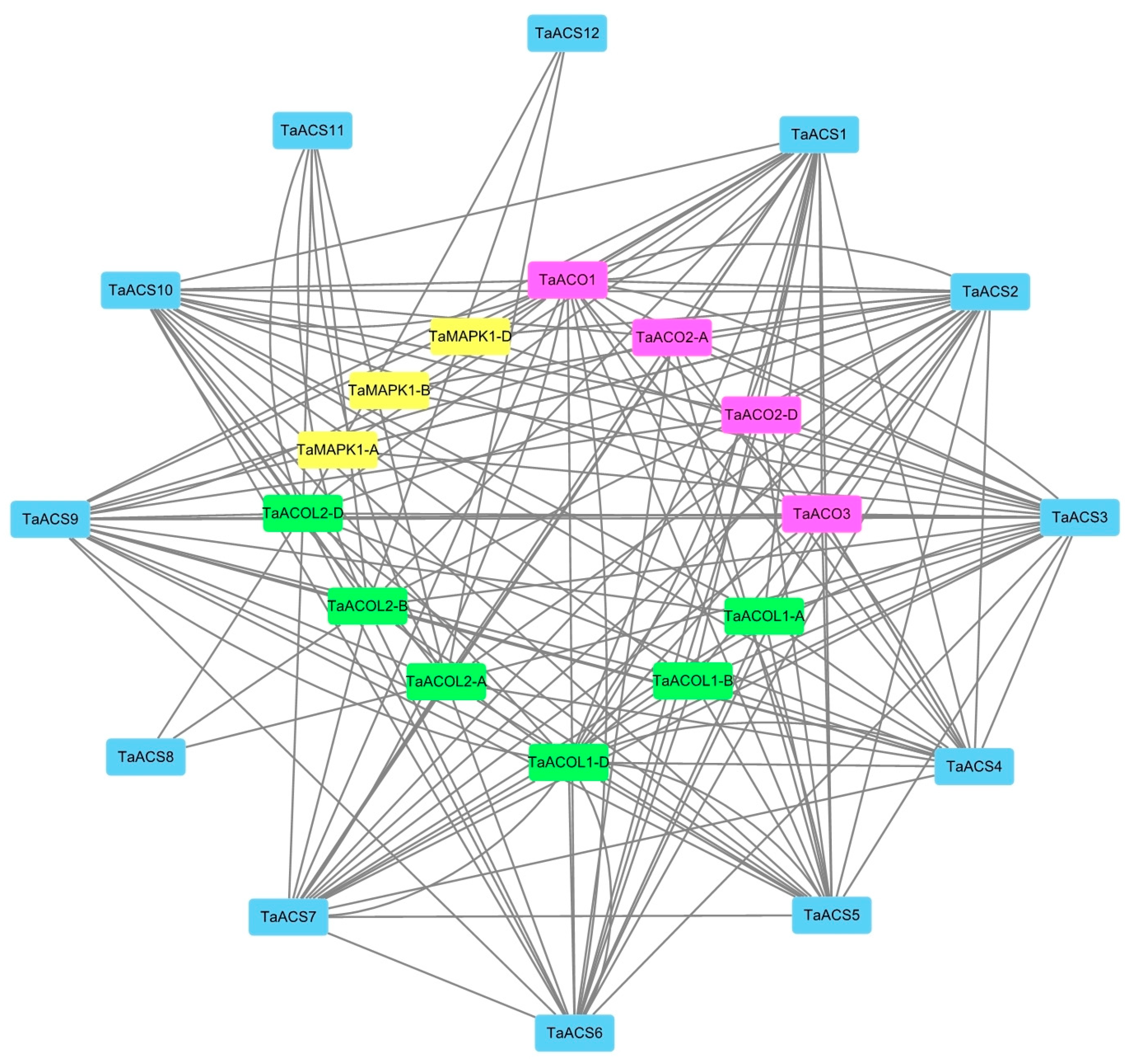 Ijms 24 11158 g013 Ijms 24 11158 g013