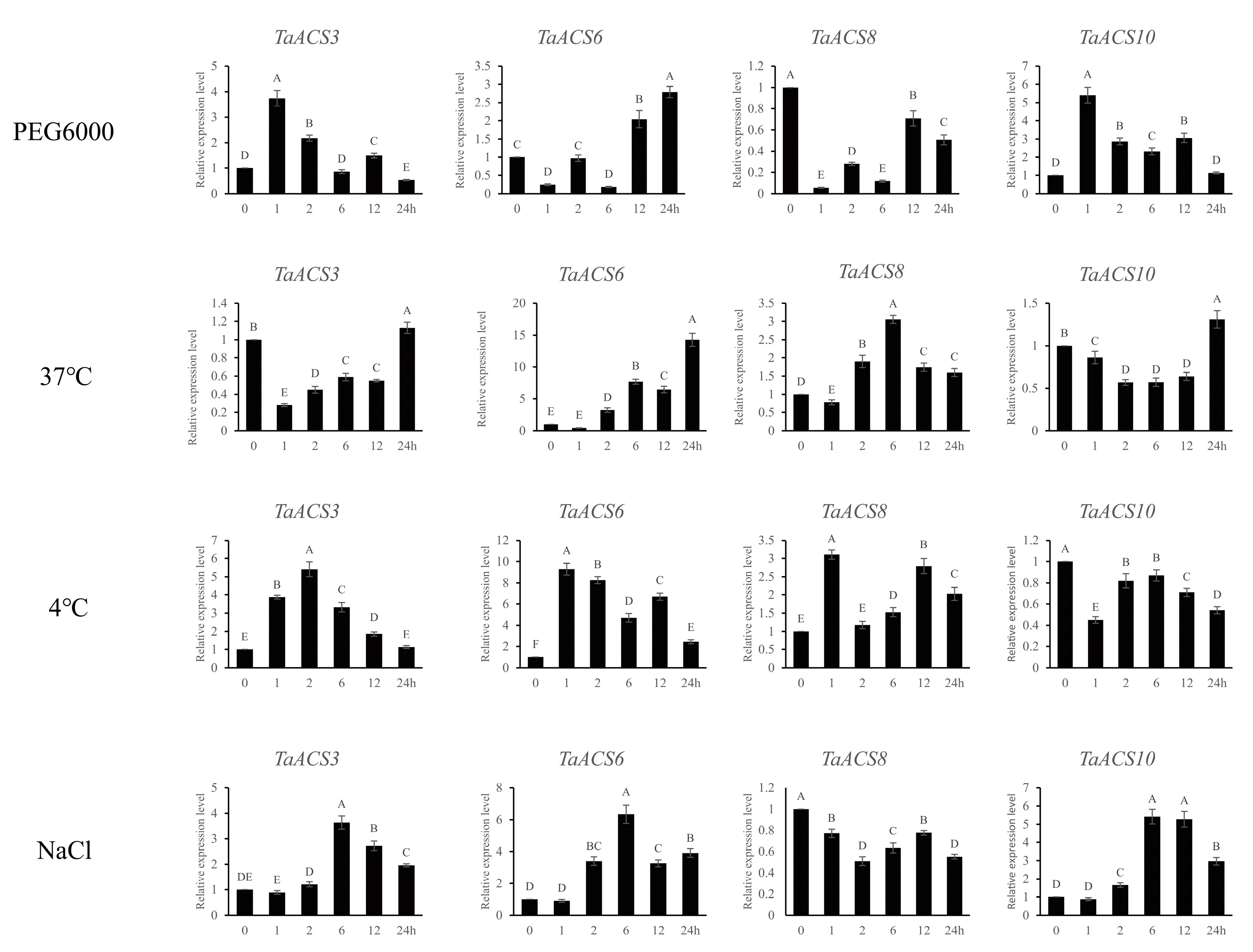 Ijms 24 11158 g015 Ijms 24 11158 g015