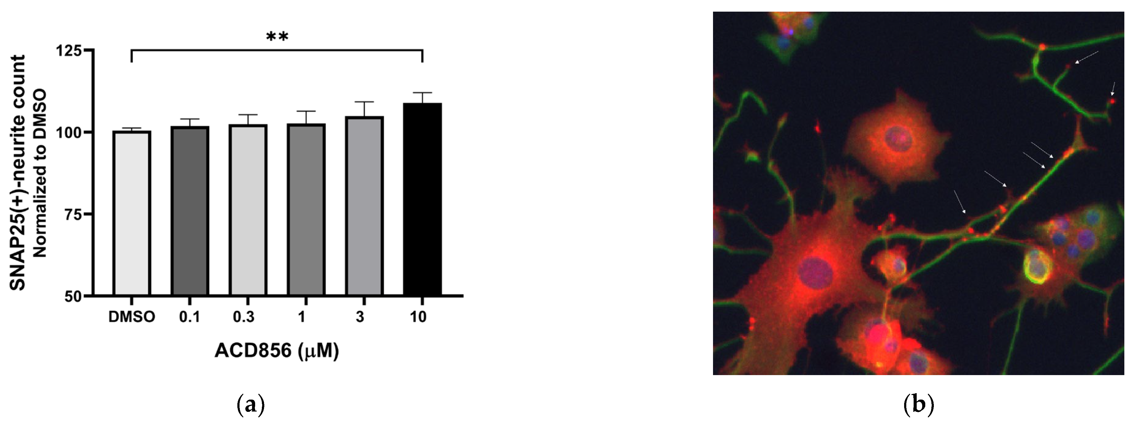 Ijms 24 11159 g004 Ijms 24 11159 g004