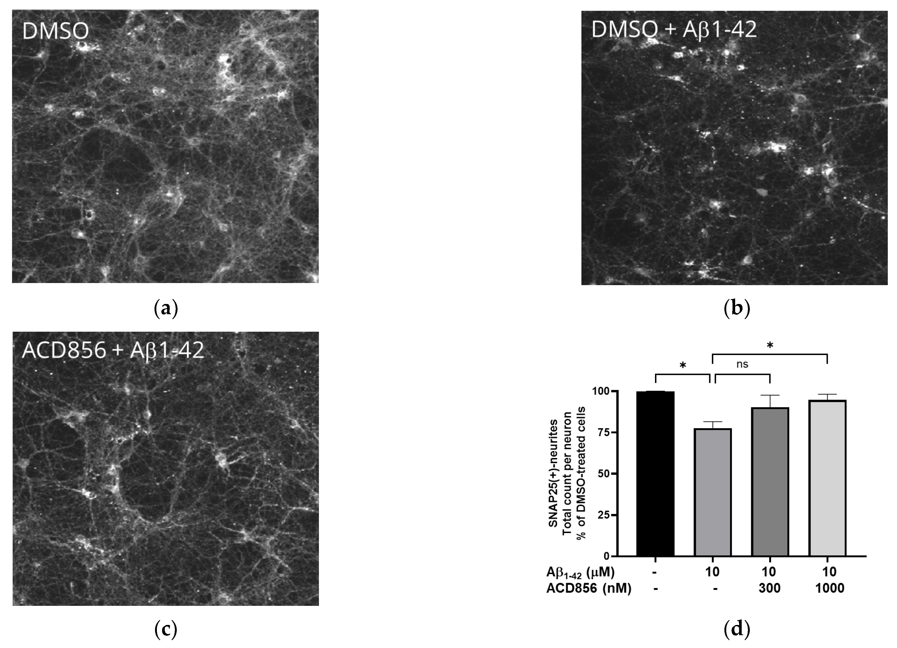 Ijms 24 11159 g009 Ijms 24 11159 g009