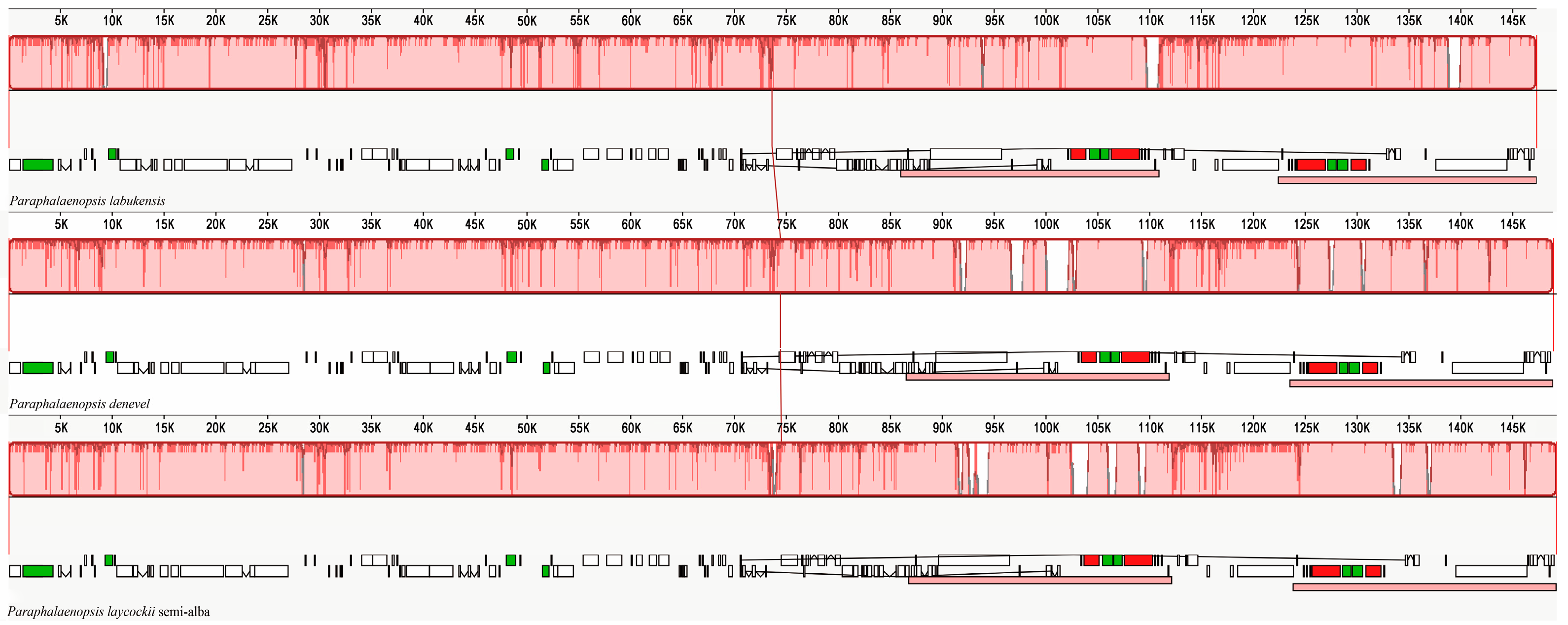 IJMS | Free Full-Text | Complete Chloroplast Genomes and Comparative ...