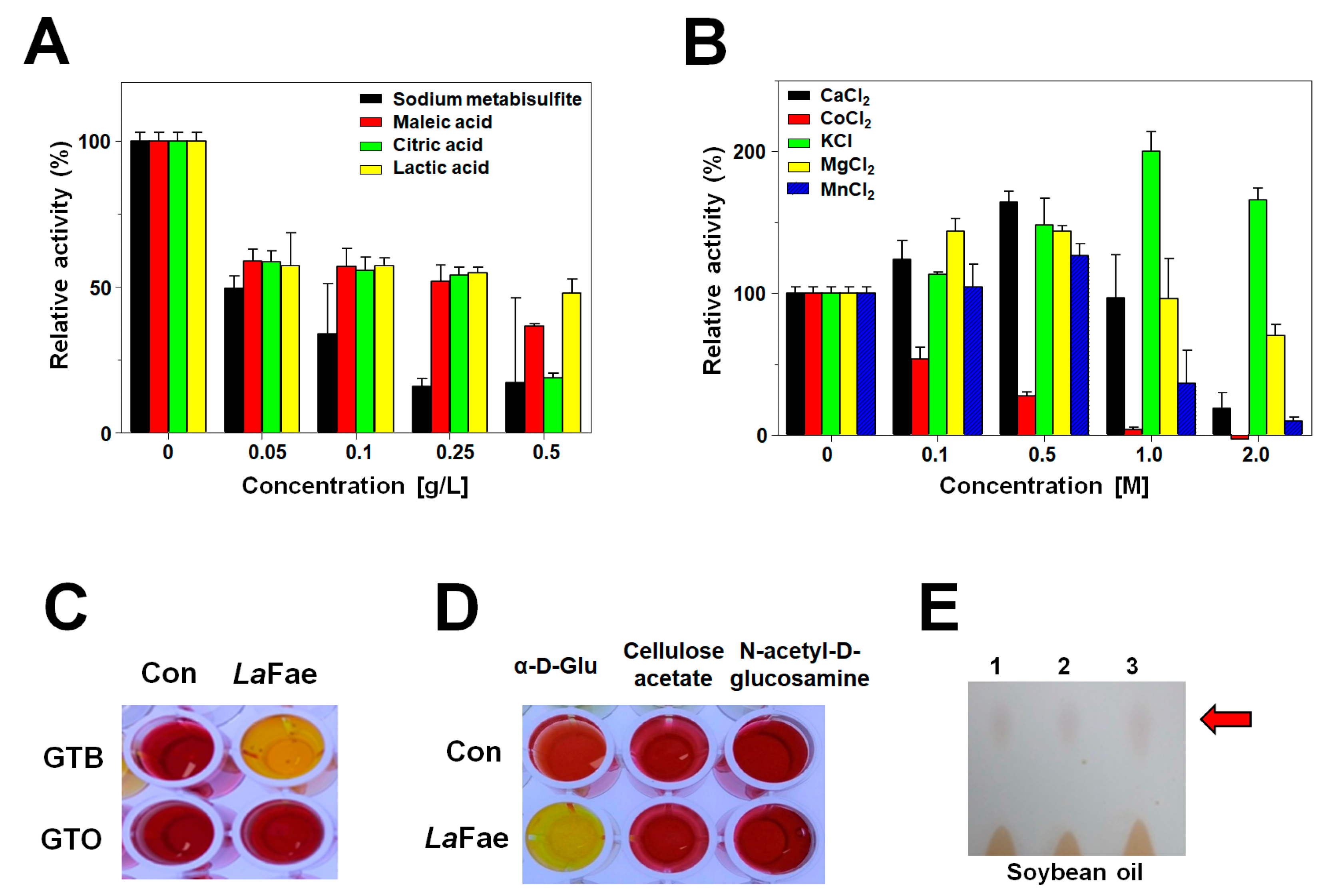 Ijms 24 11170 g002 Ijms 24 11170 g002