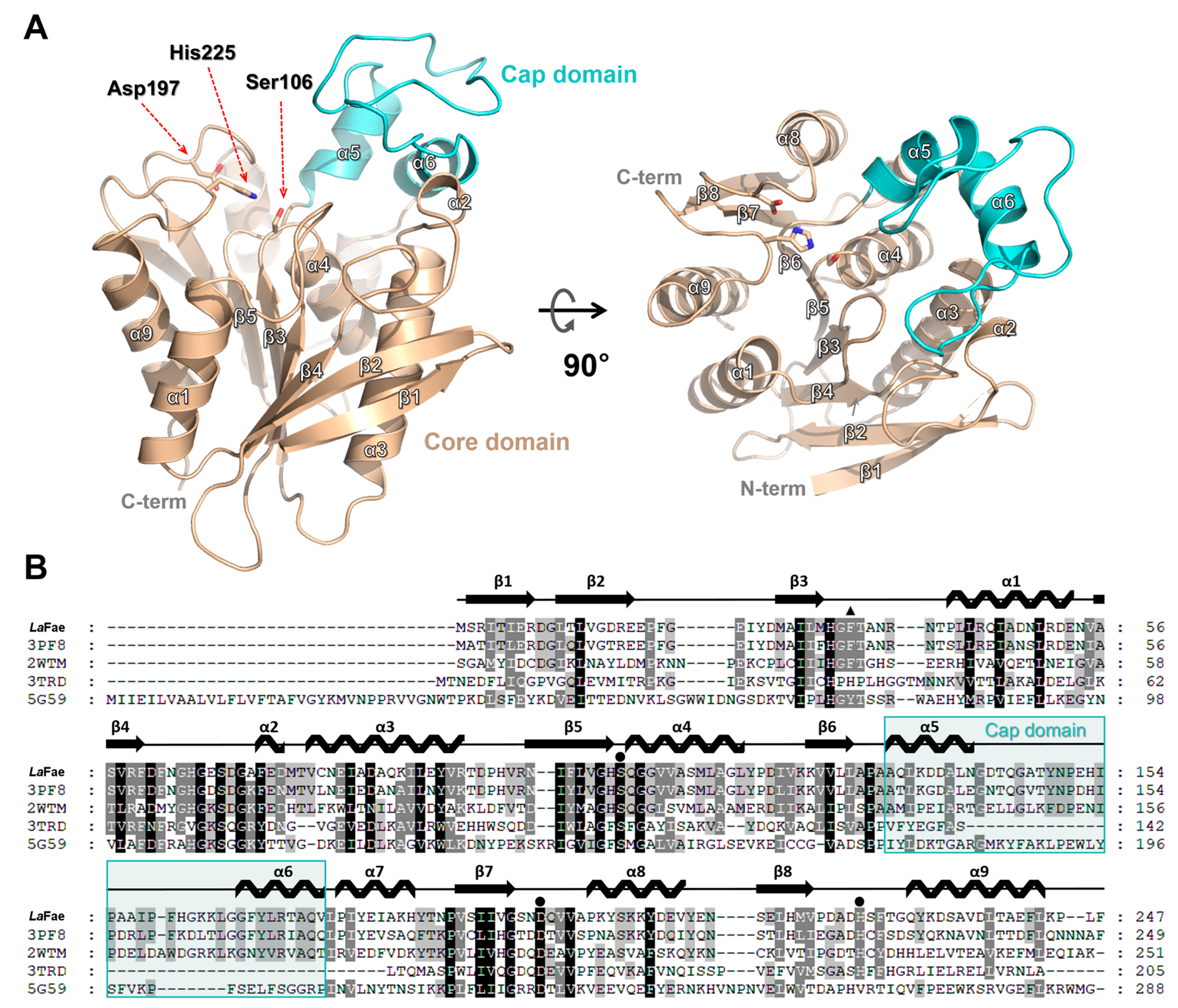 Ijms 24 11170 g003 Ijms 24 11170 g003
