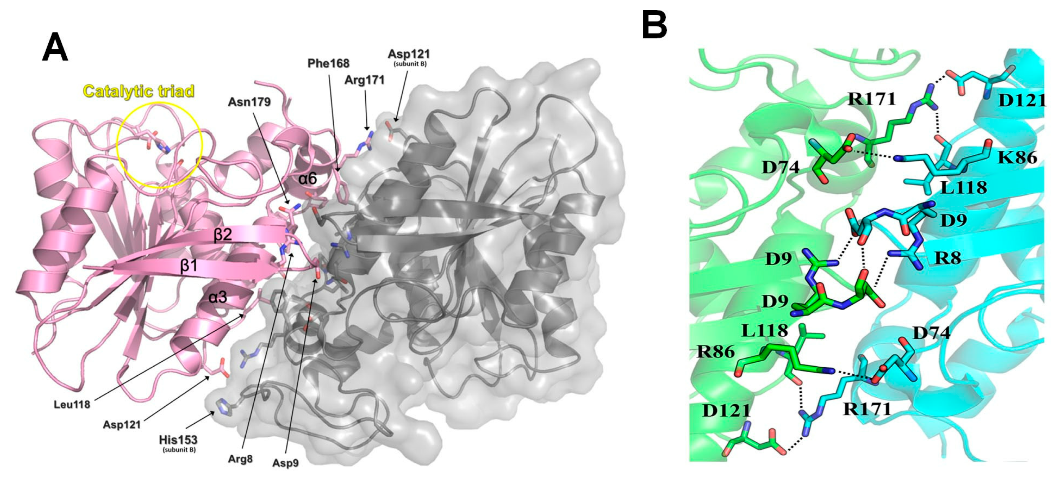Ijms 24 11170 g004 Ijms 24 11170 g004