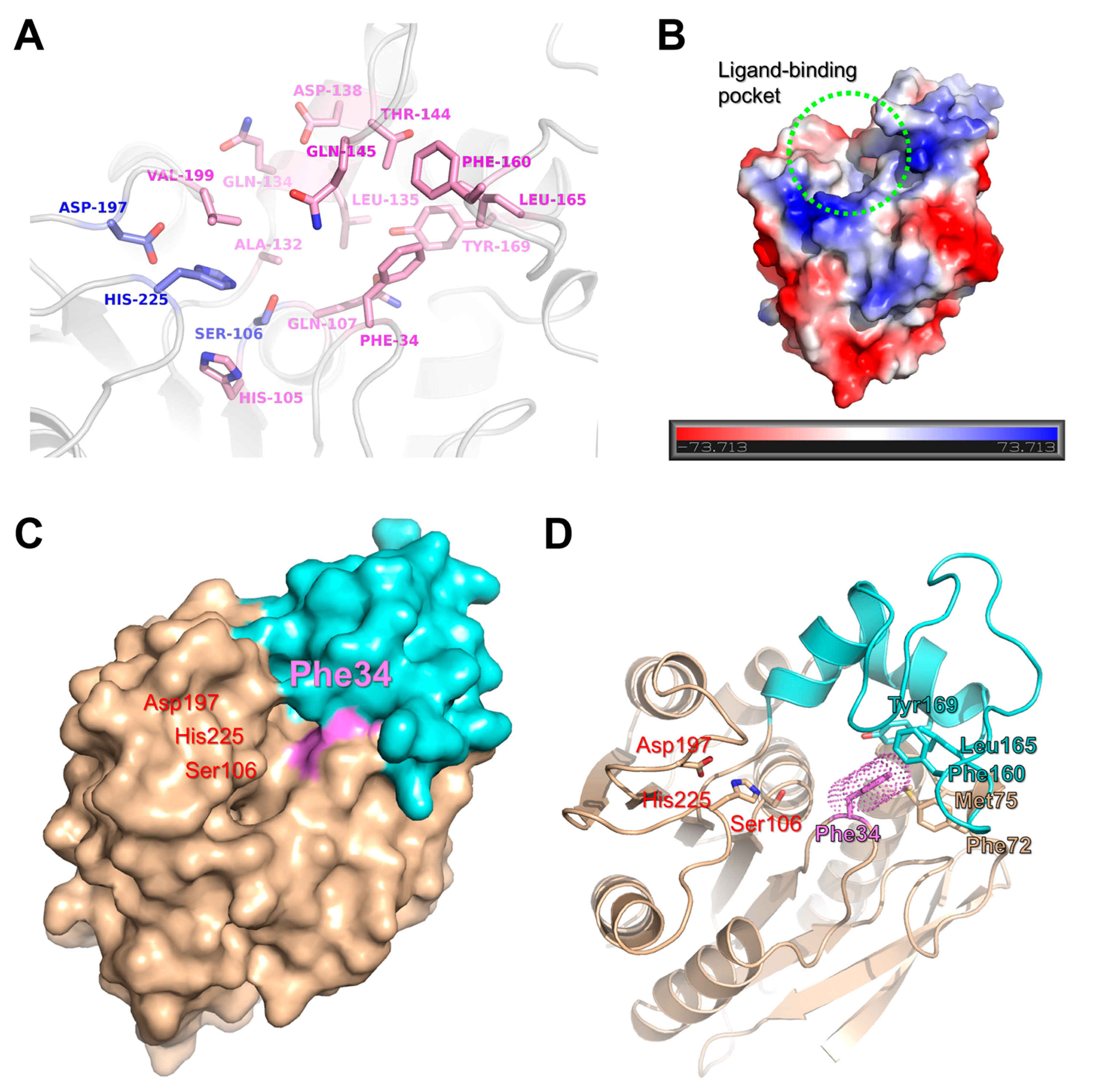 Ijms 24 11170 g005 Ijms 24 11170 g005