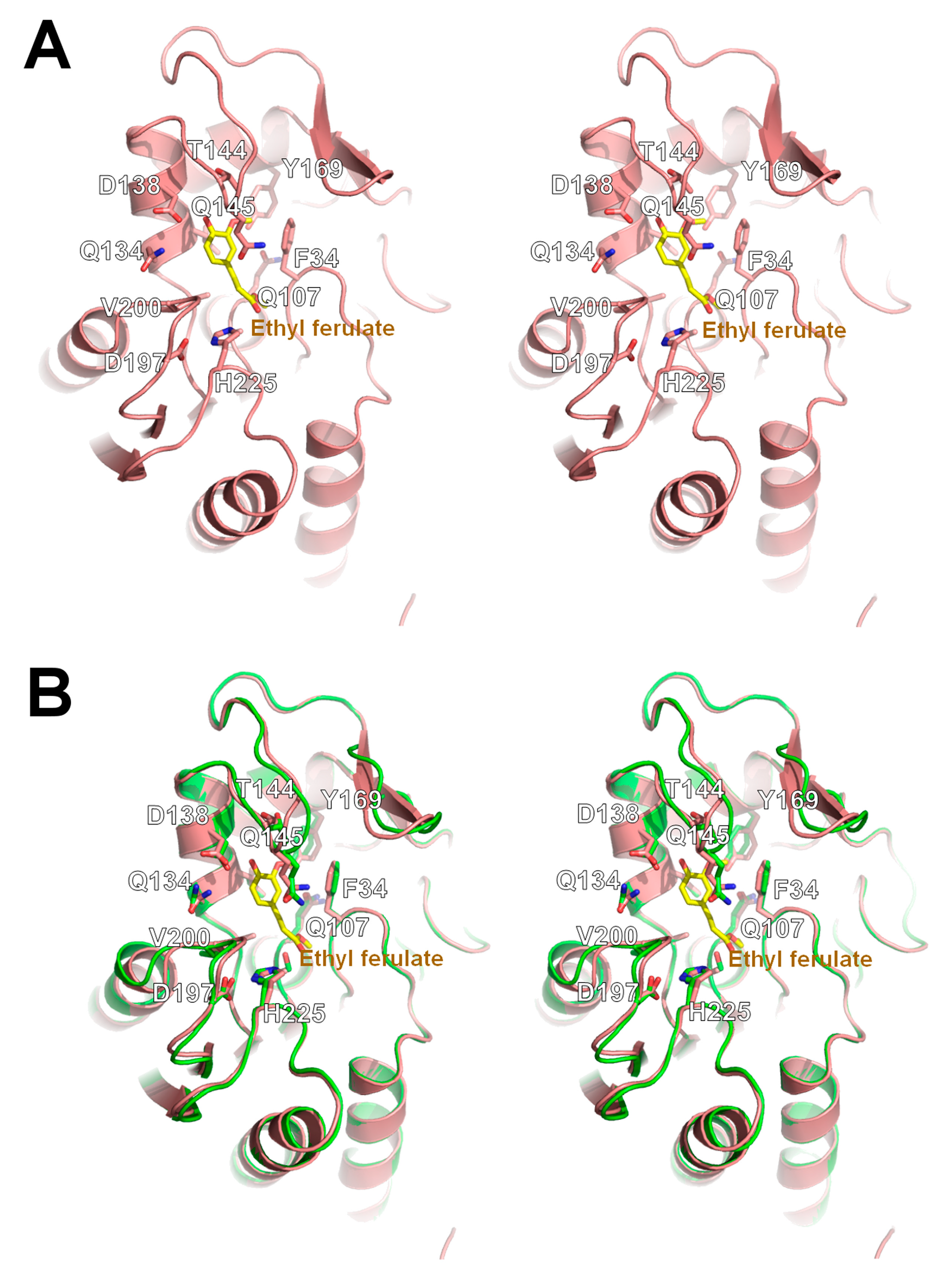 Ijms 24 11170 g006 Ijms 24 11170 g006