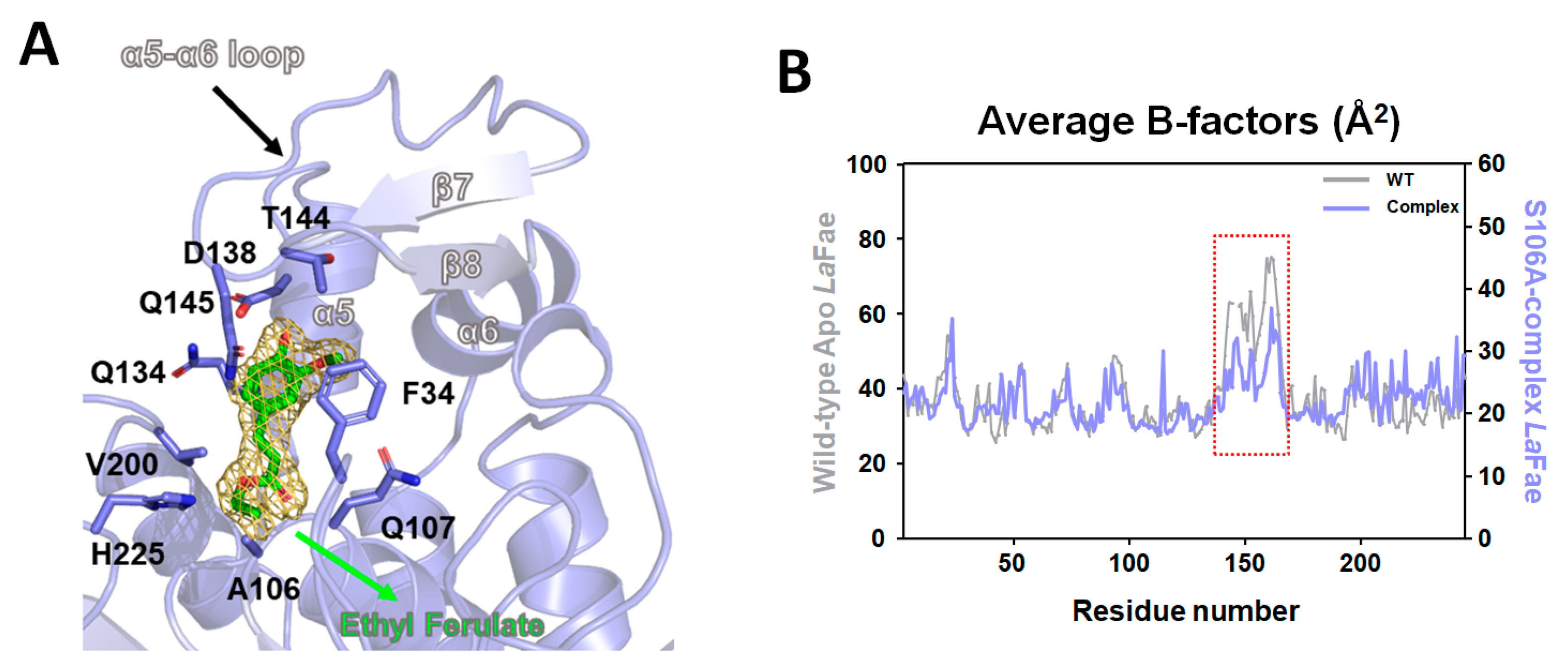 Ijms 24 11170 g007 Ijms 24 11170 g007
