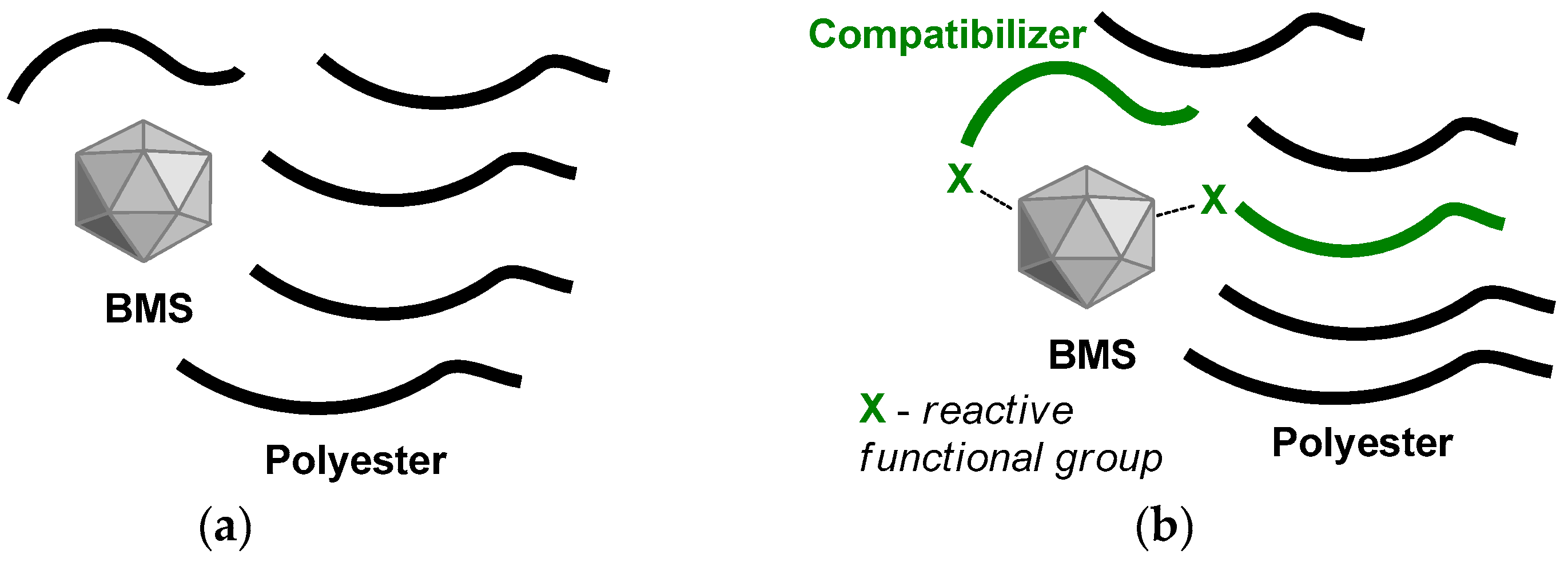 Ijms 24 11175 g001 Ijms 24 11175 g001