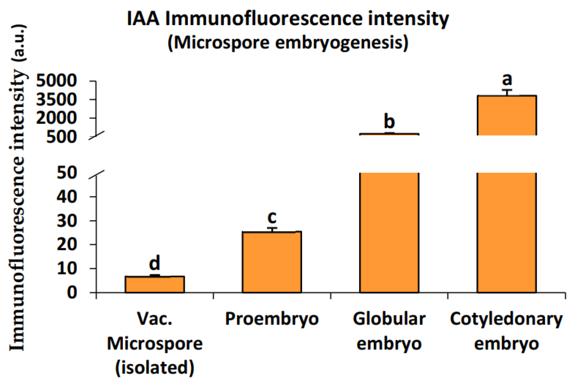 Ijms 24 11177 g005 Ijms 24 11177 g005