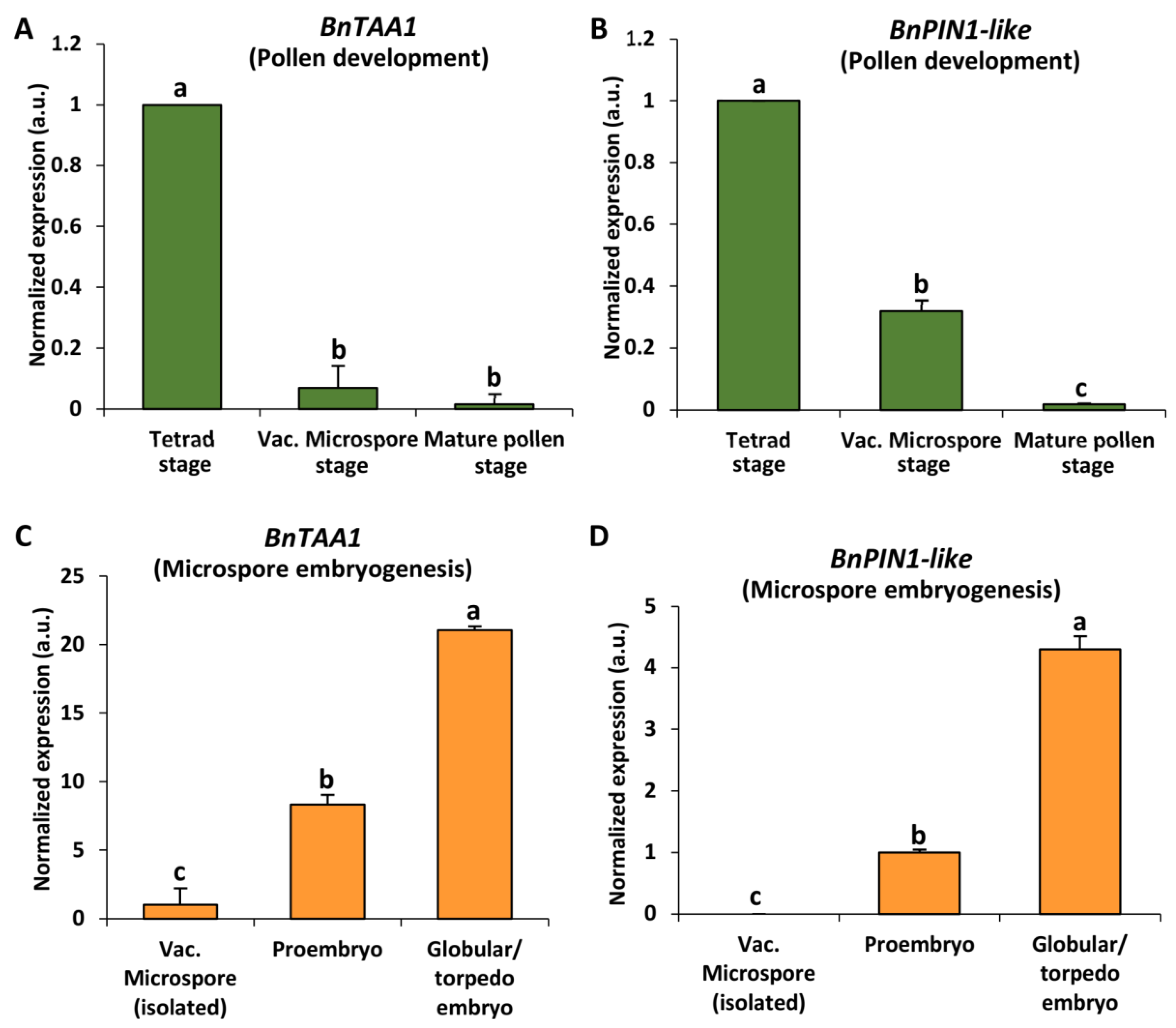 Ijms 24 11177 g007 Ijms 24 11177 g007