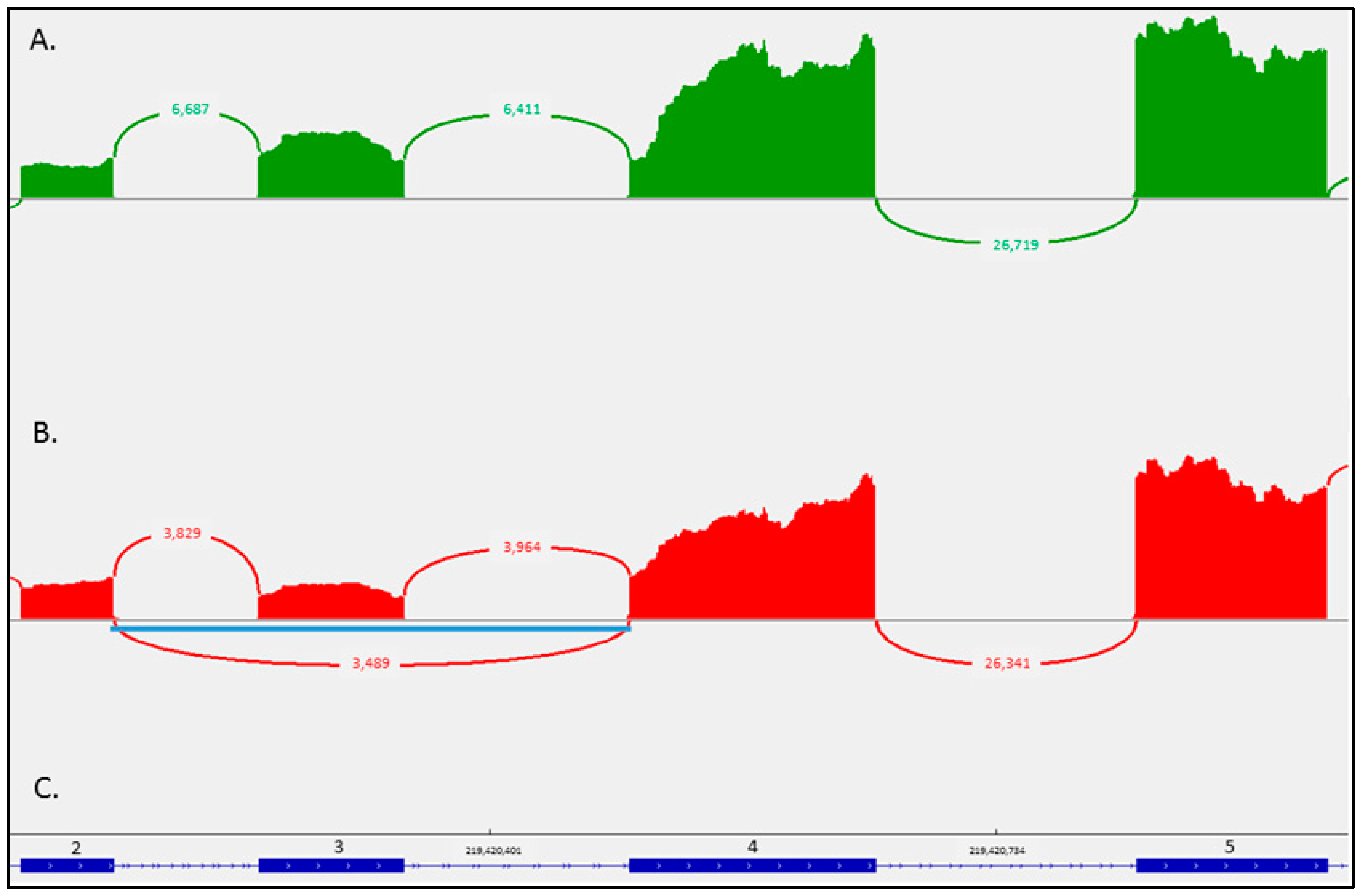 Ijms 24 11181 g003 Ijms 24 11181 g003