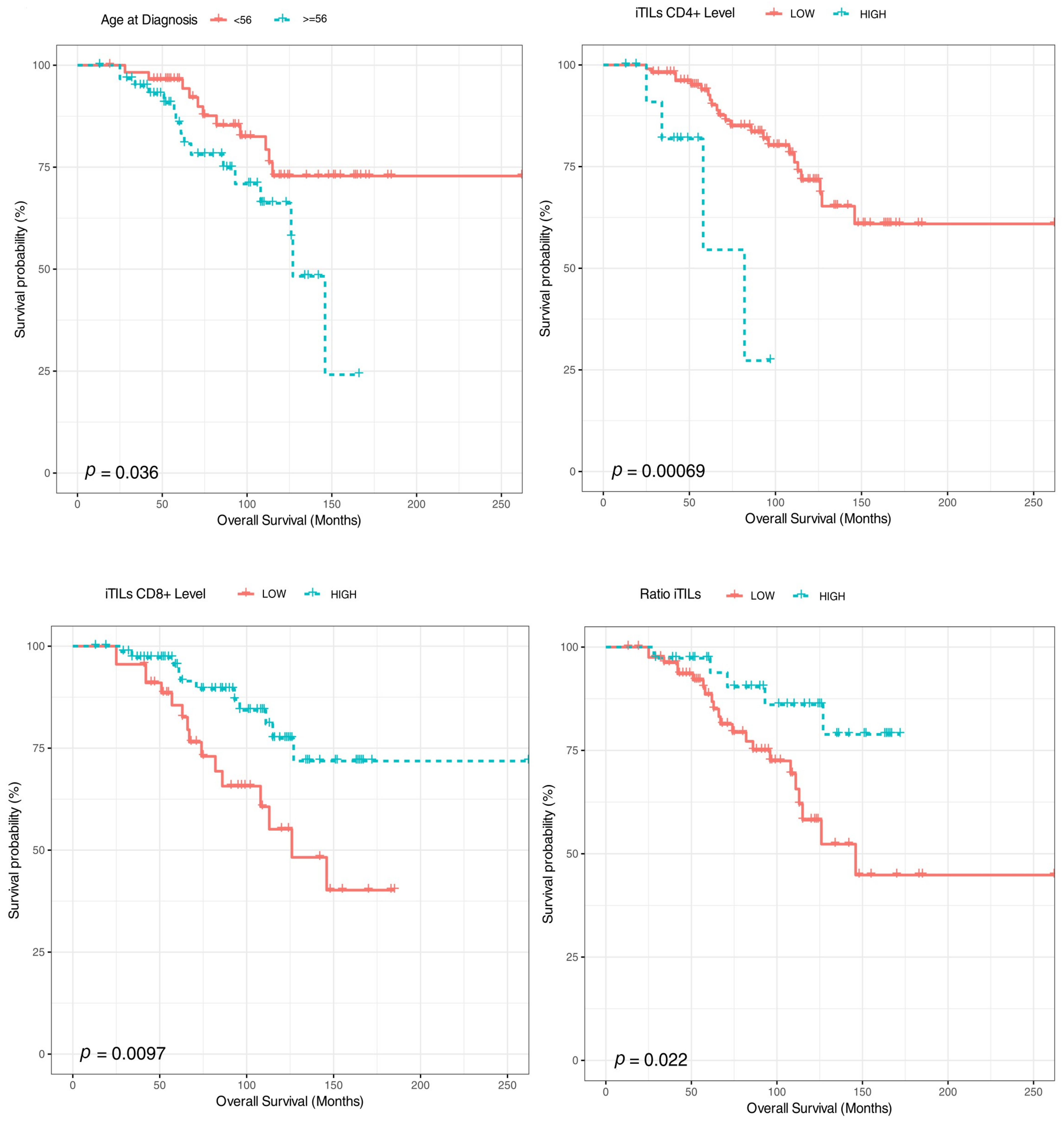 Ijms 24 11183 g005 Ijms 24 11183 g005