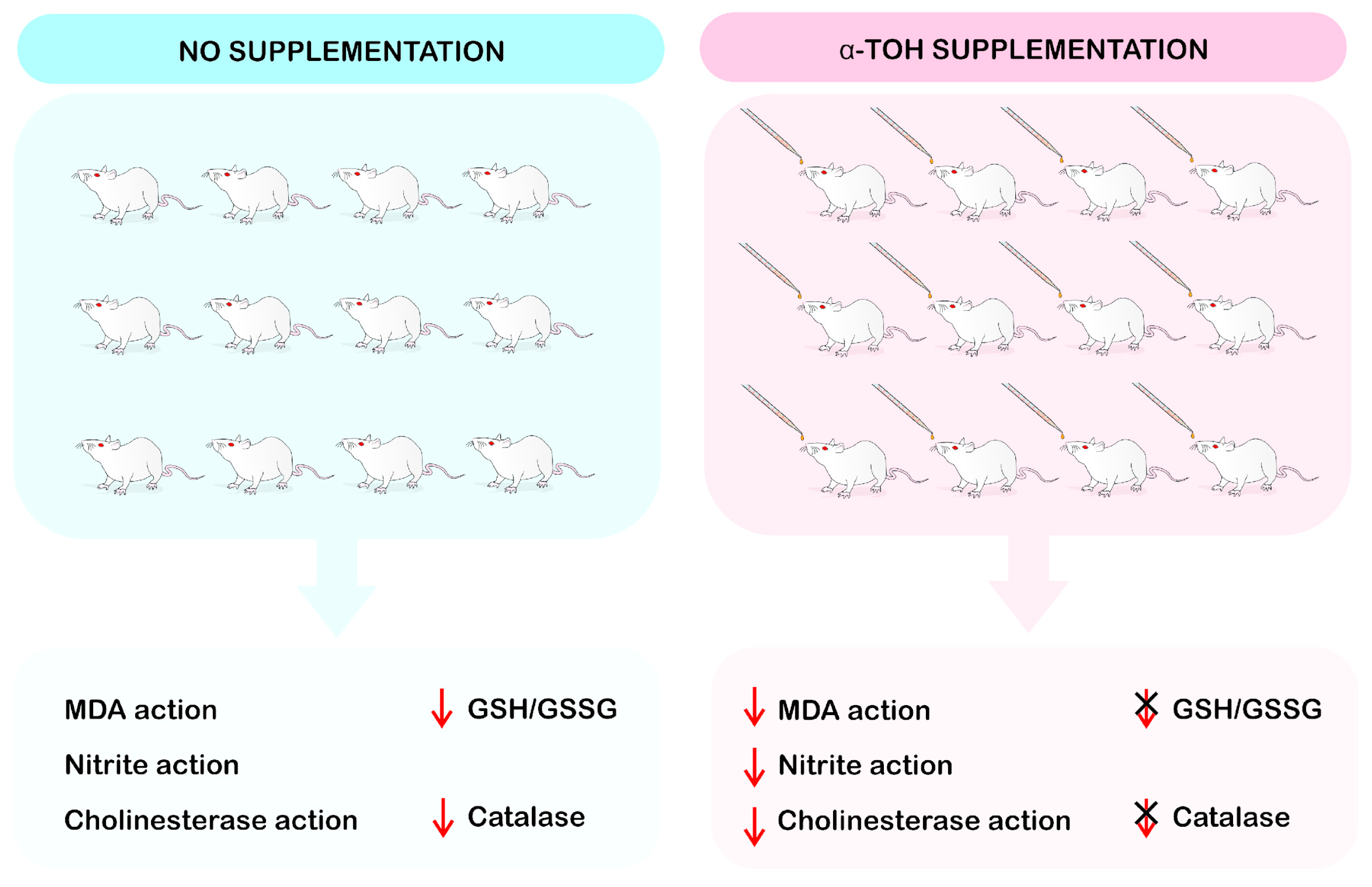 Ijms 24 11191 g002 Ijms 24 11191 g002