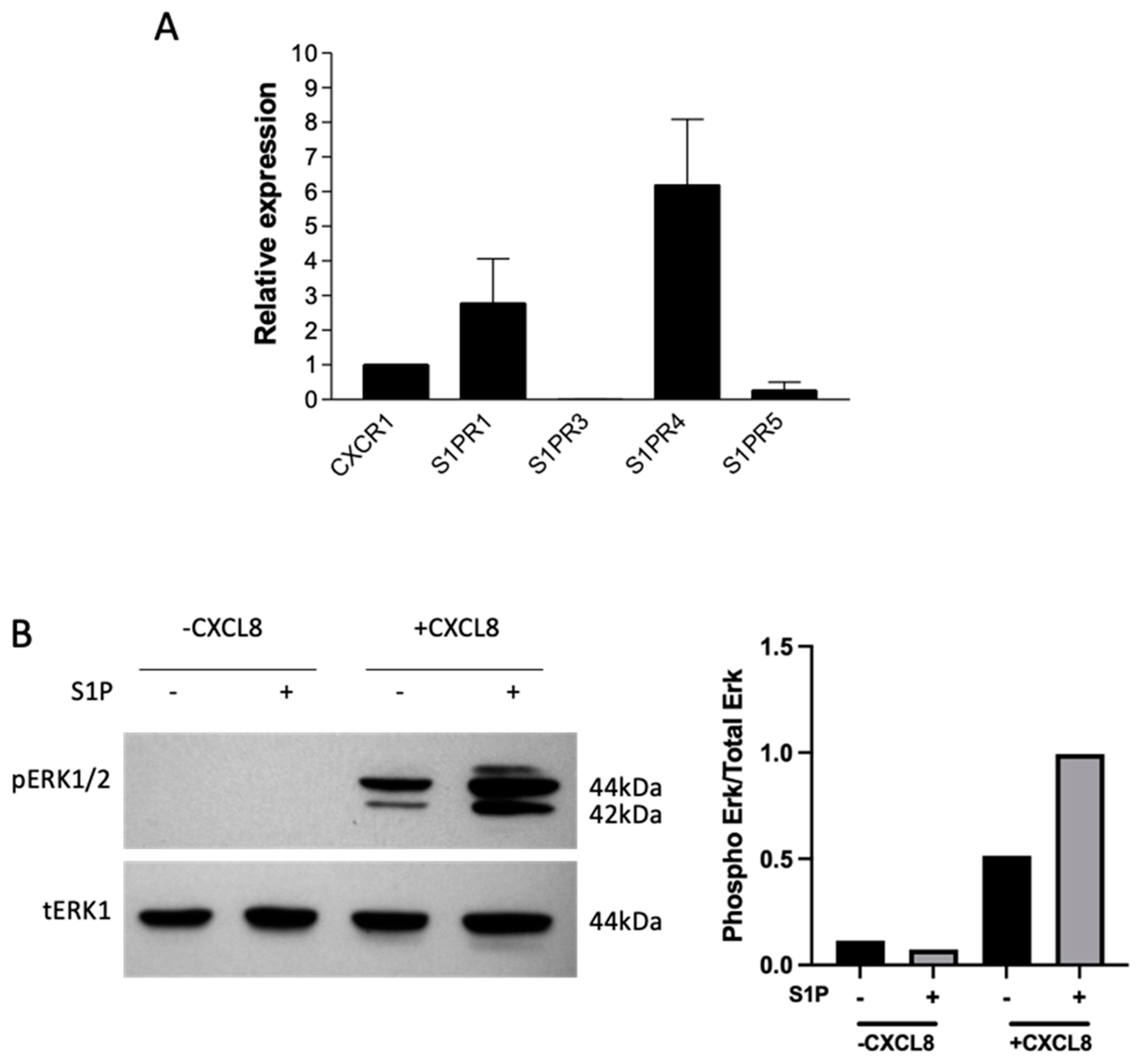 Ijms 24 11192 g002 Ijms 24 11192 g002