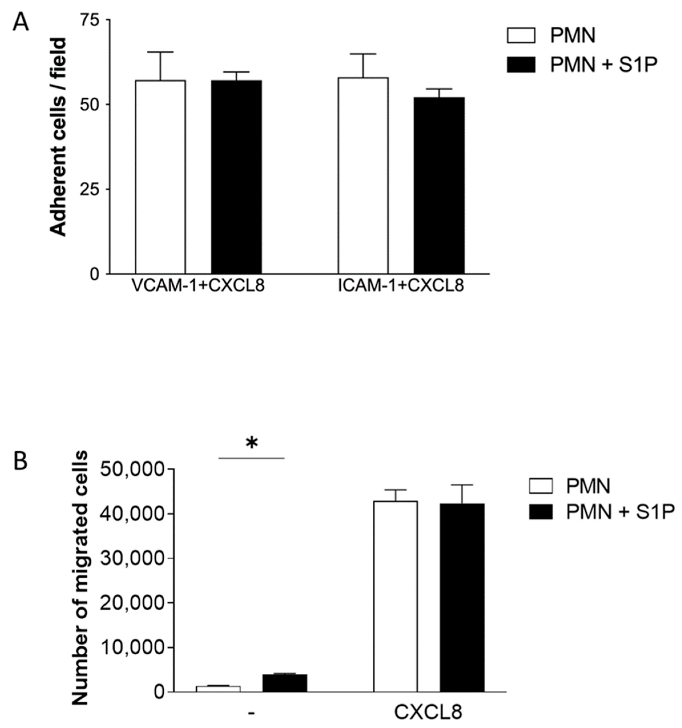 Ijms 24 11192 g003 Ijms 24 11192 g003